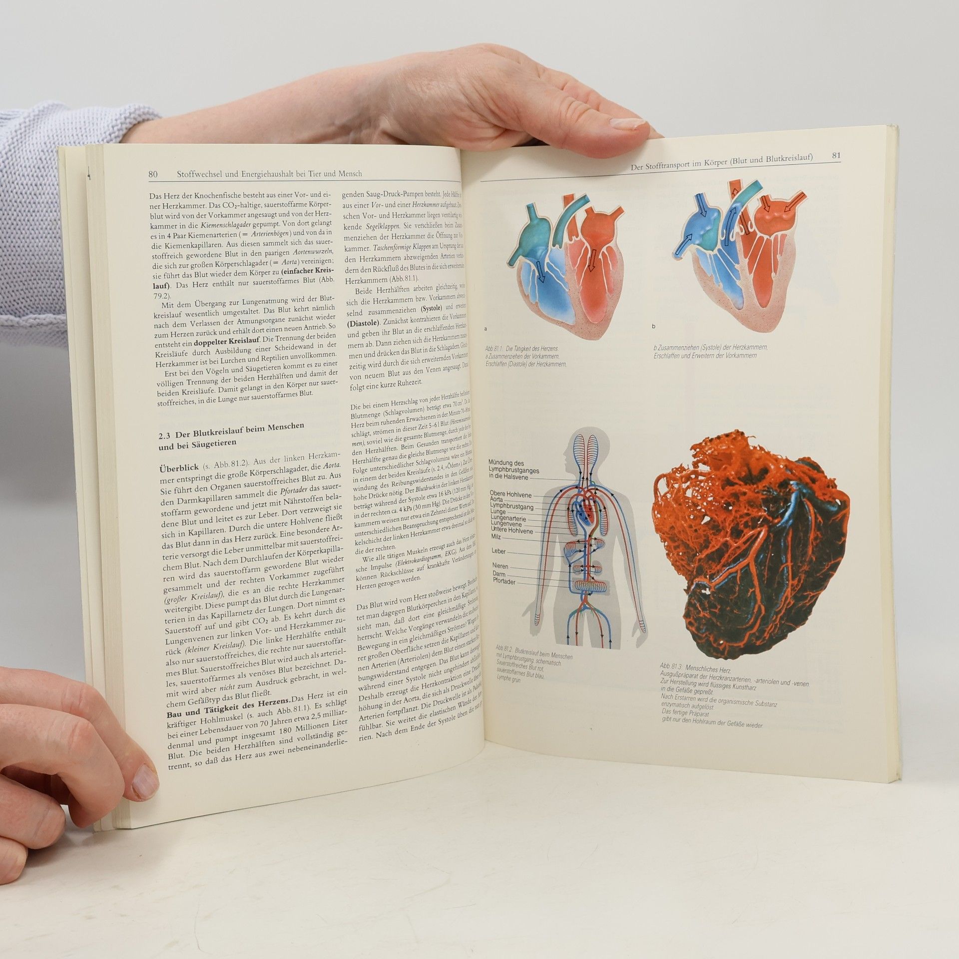 Autores varios Linder Biologie mit Geologie. Teil 1