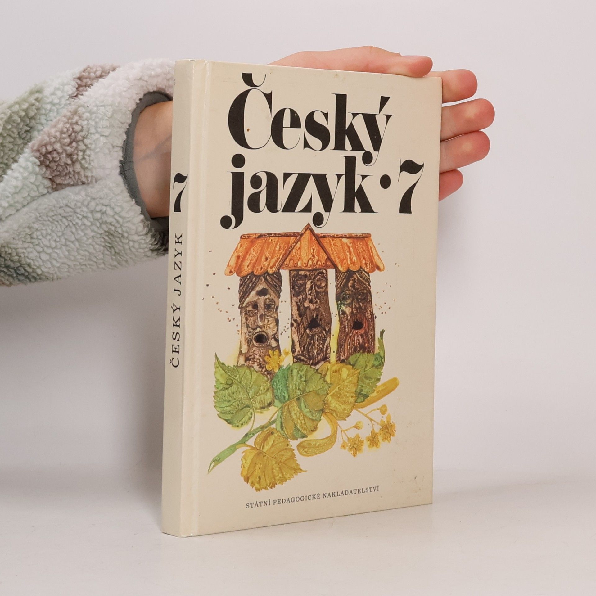 Kolektiv autorů Český jazyk 7