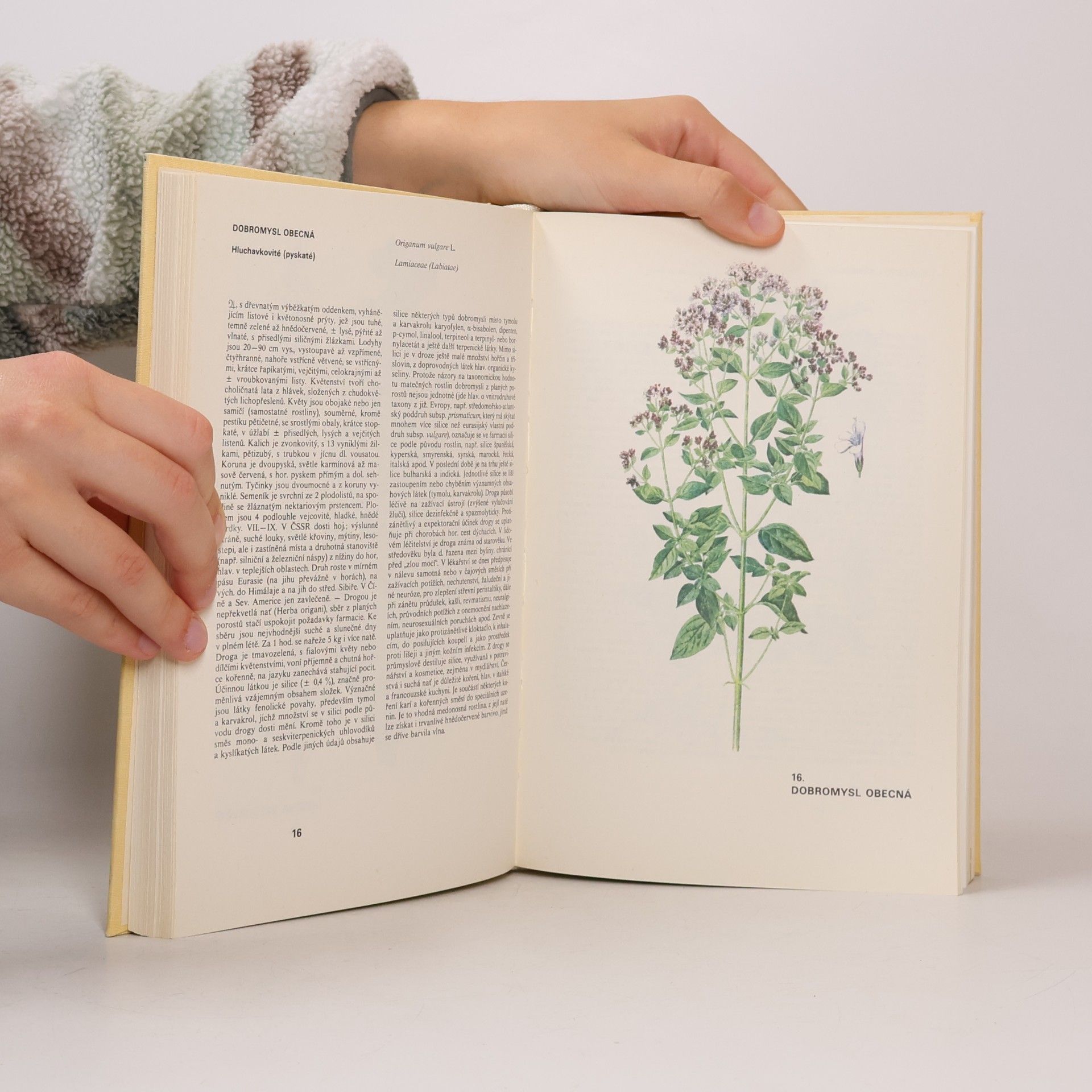 Václav Jirásek Atlas léčivých rostlin