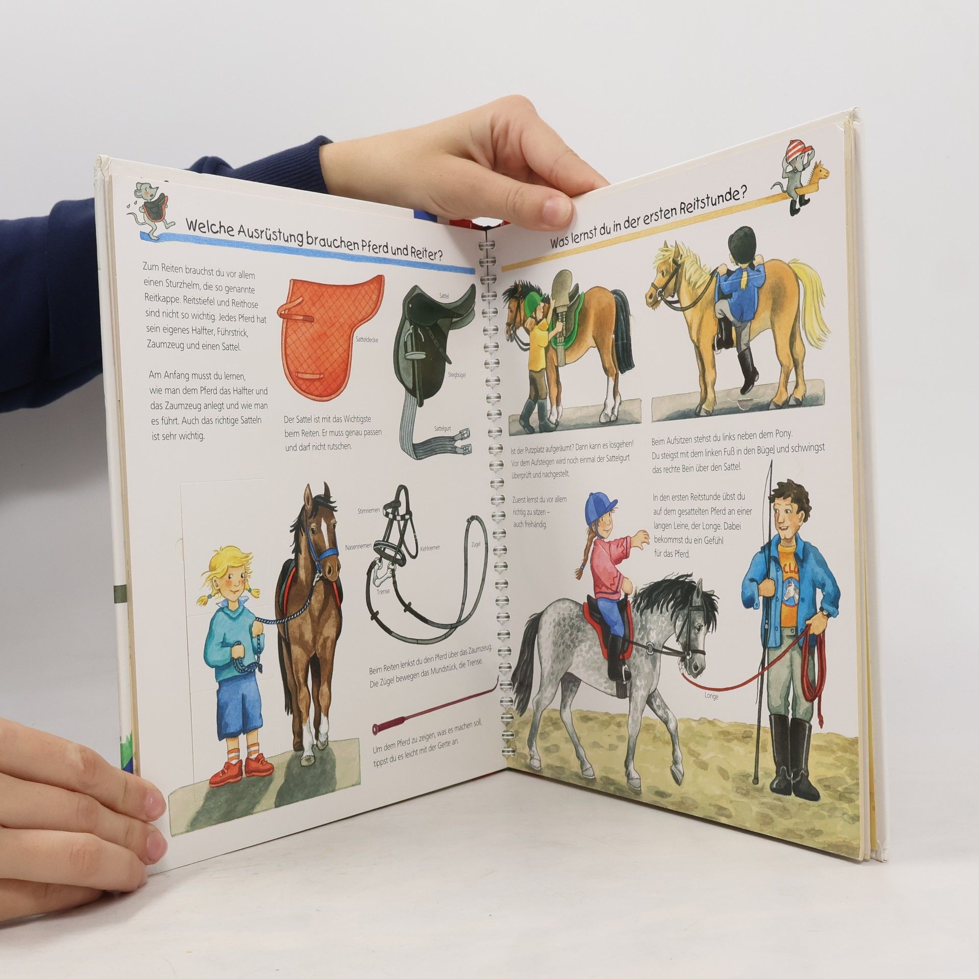 Andrea Erne Alles über Pferde und Ponys