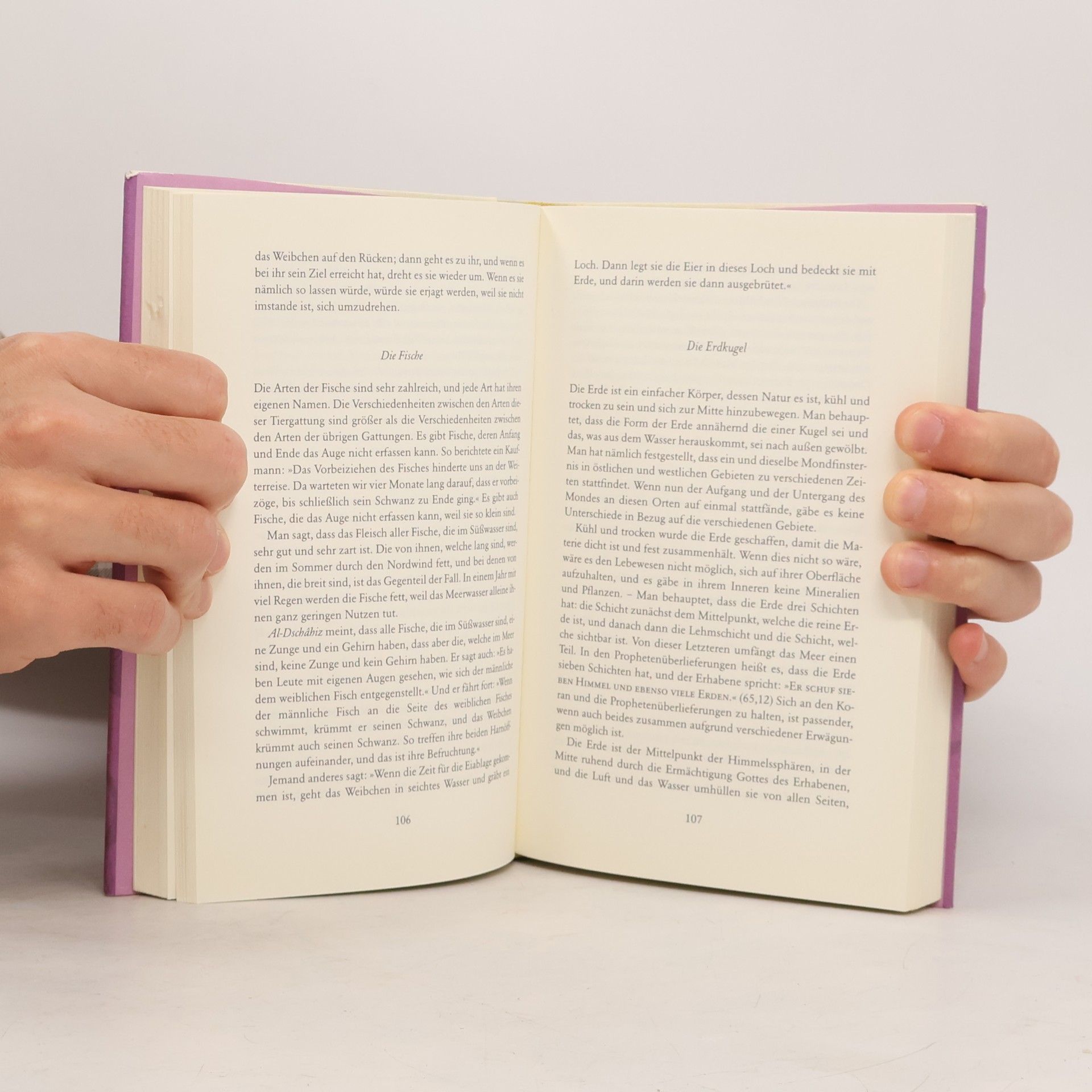 Zakarīyā Ibn-Muḥammad al- Qazwīnī Die Wunder des Himmels und der Erde