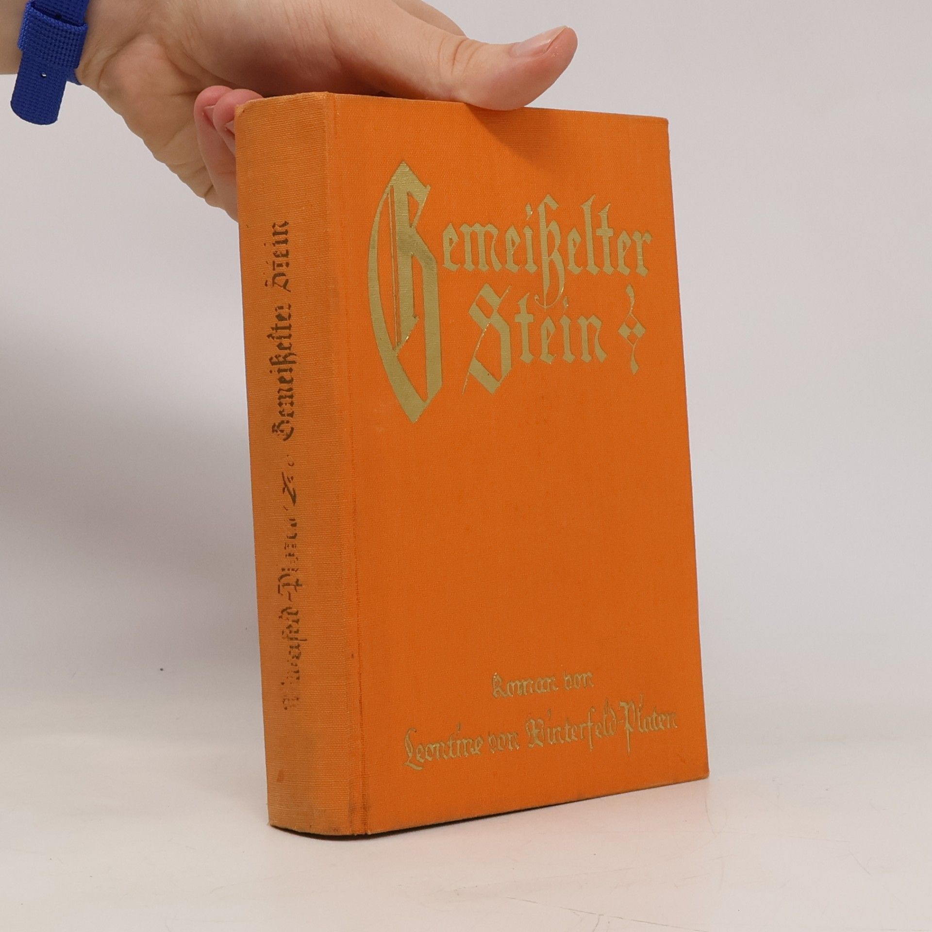 Leontine von Winterfeld-Platen Gemeißelter Stein
