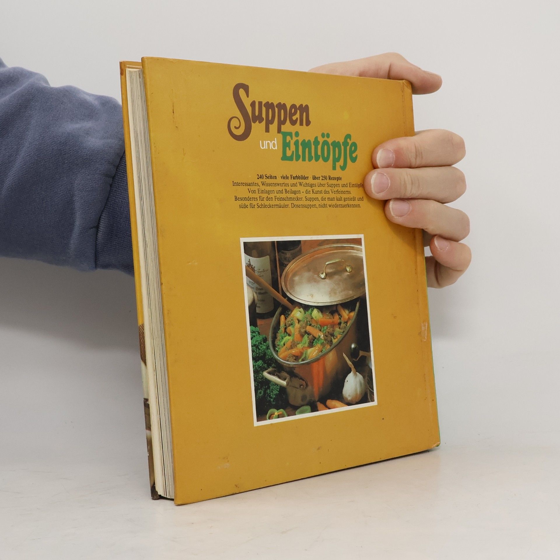Autorenkollektiv Suppen und Eintöpfe