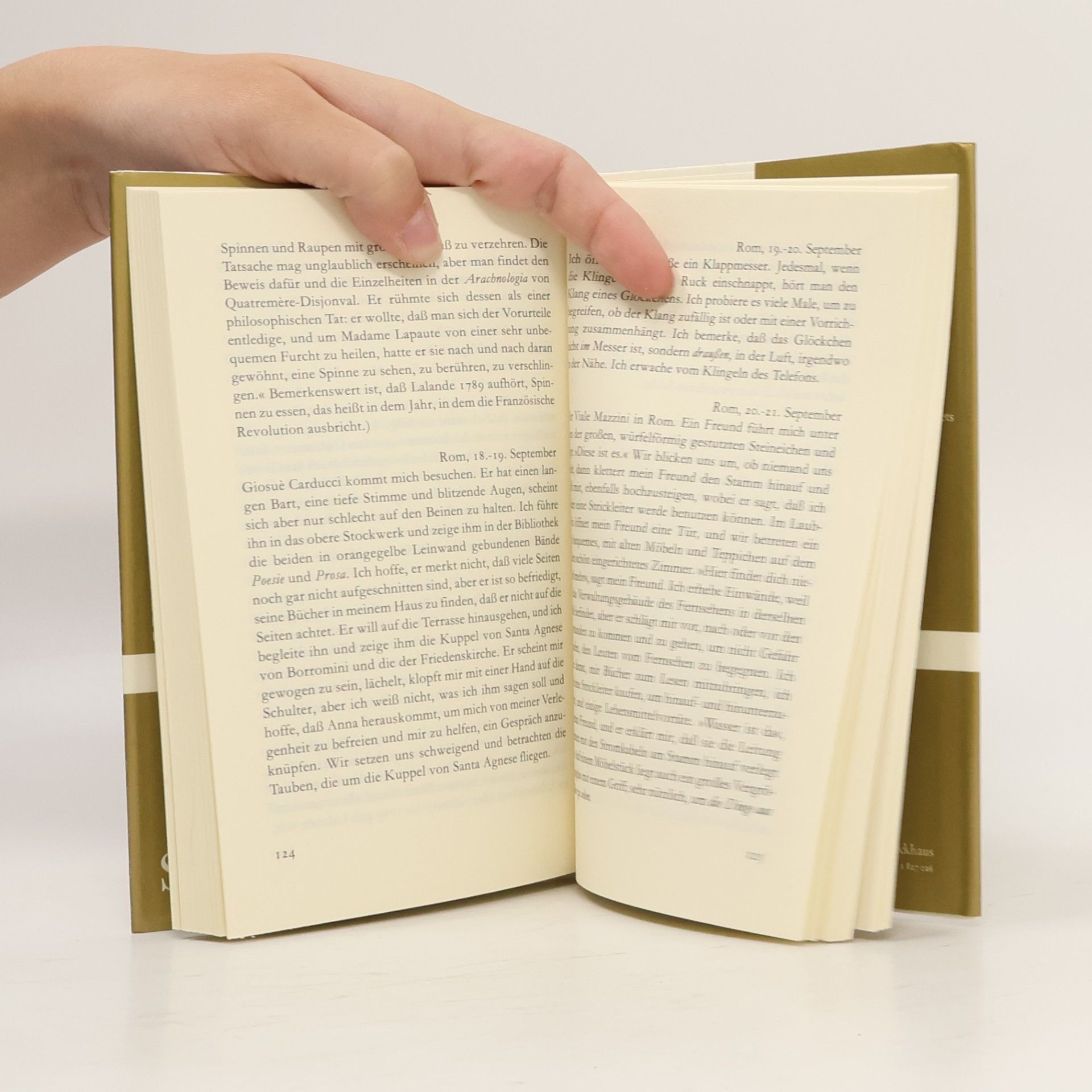 Luigi Malerba Tagebuch eines Träumers