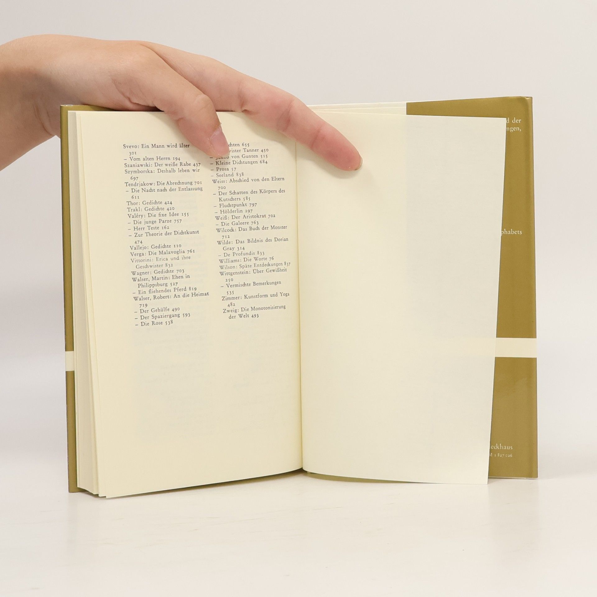 Luigi Malerba Tagebuch eines Träumers