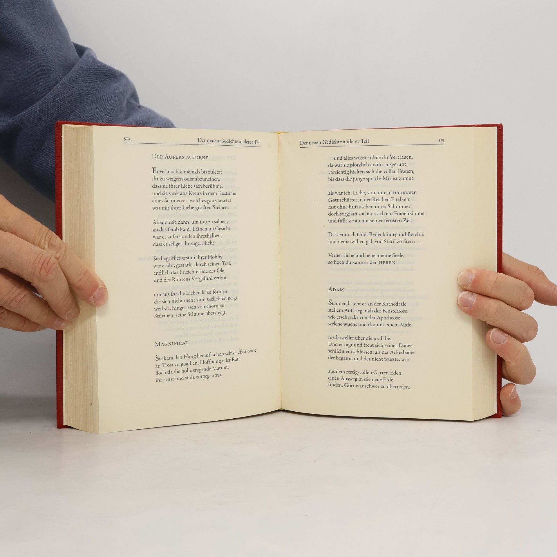 Rainer Maria Rilke Gesammelte Werke