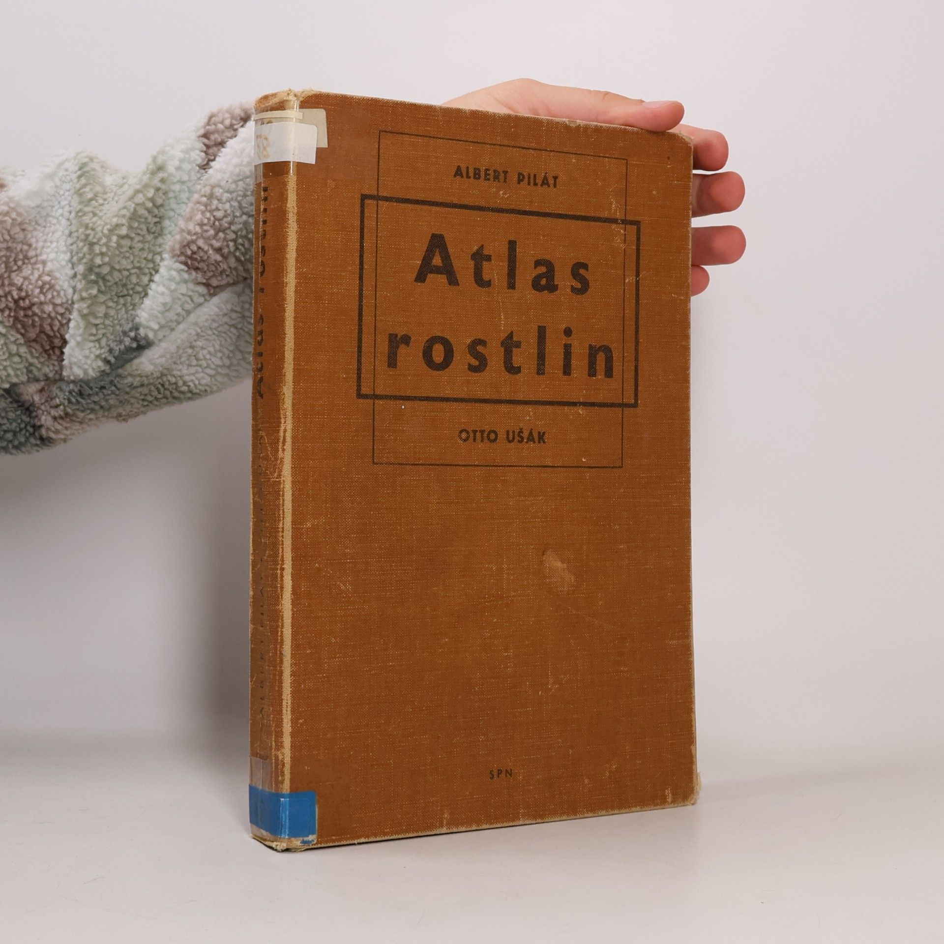 Atlas rostlin