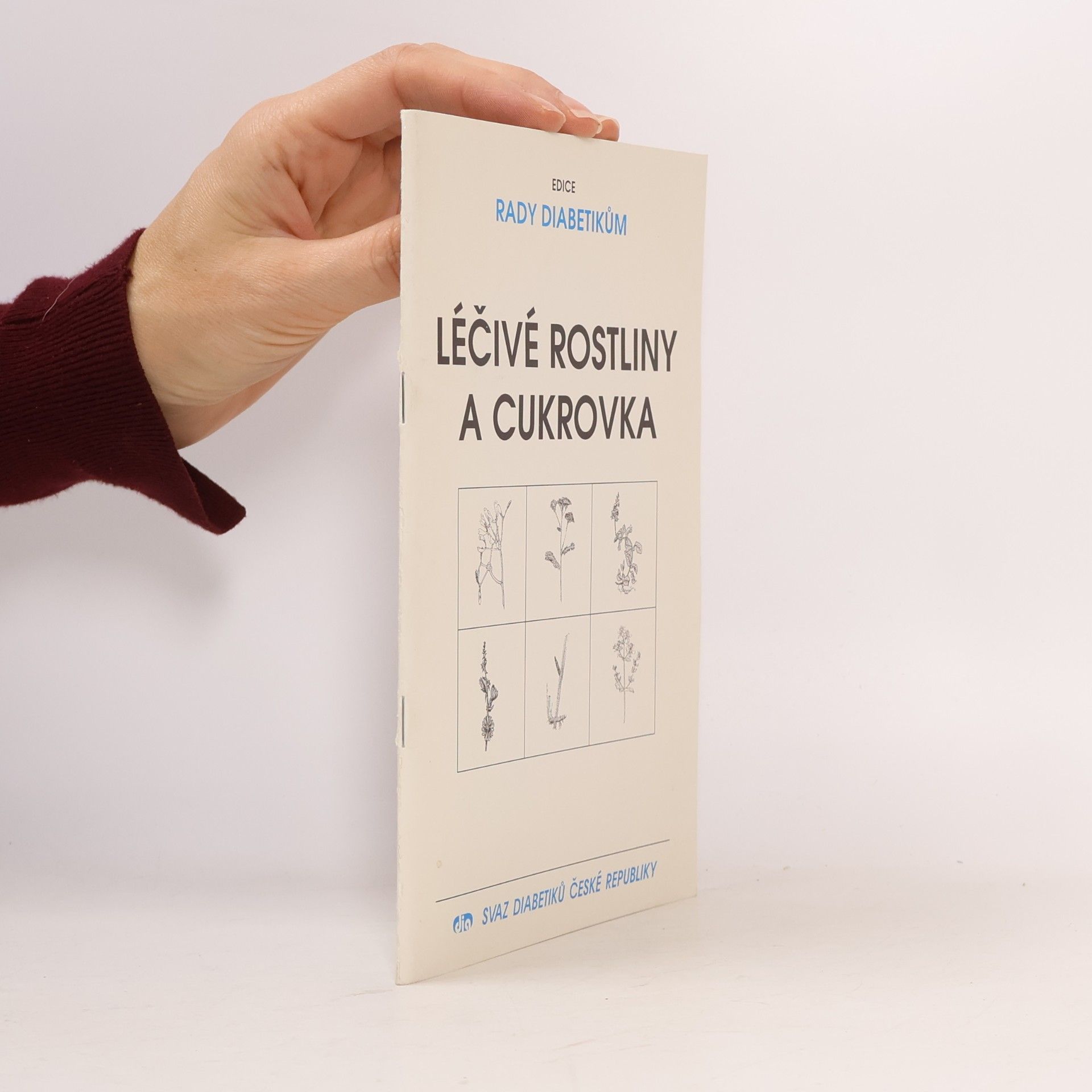 Léčivé rostliny a cukrovka