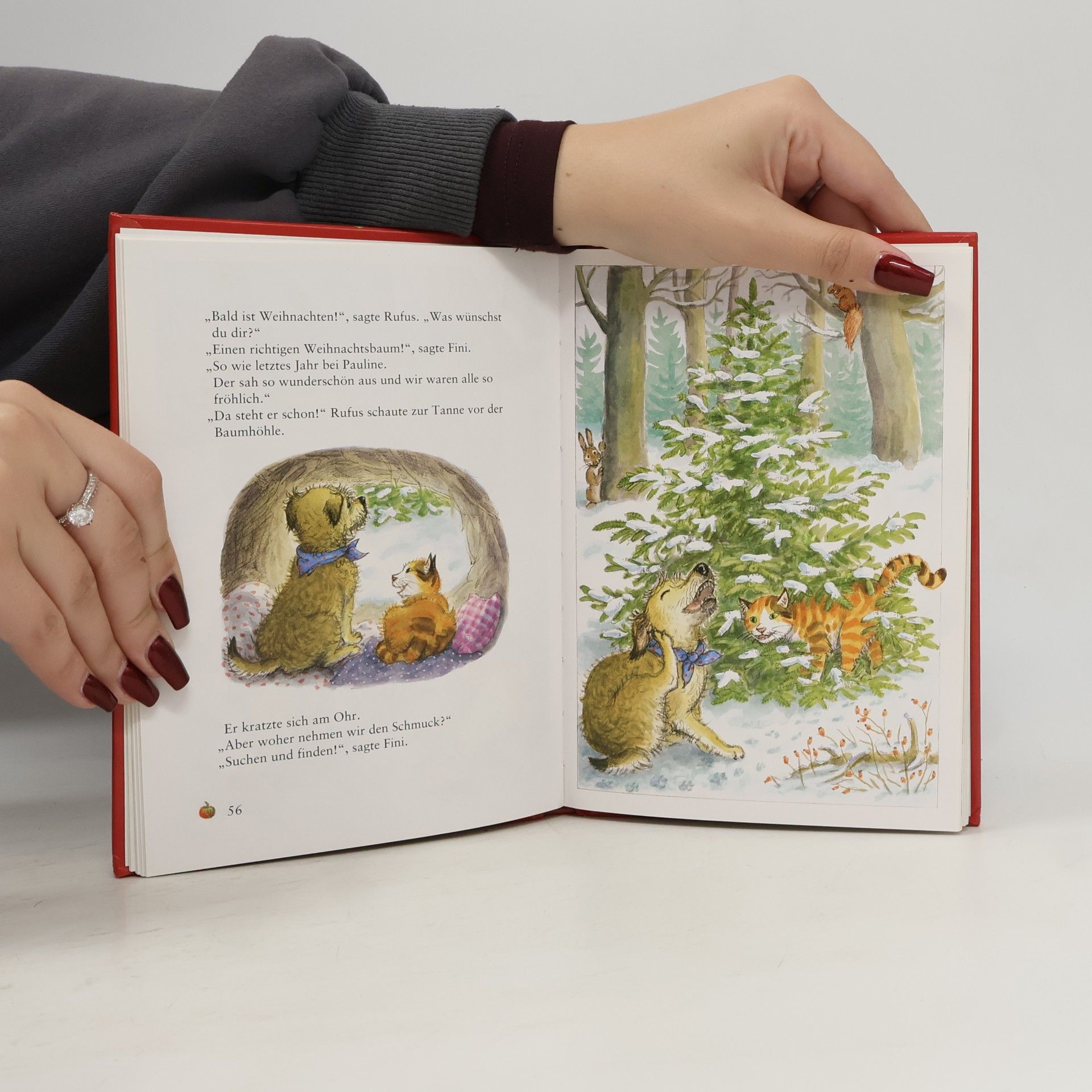 Wunderschöne Weihnachtsgeschichten
