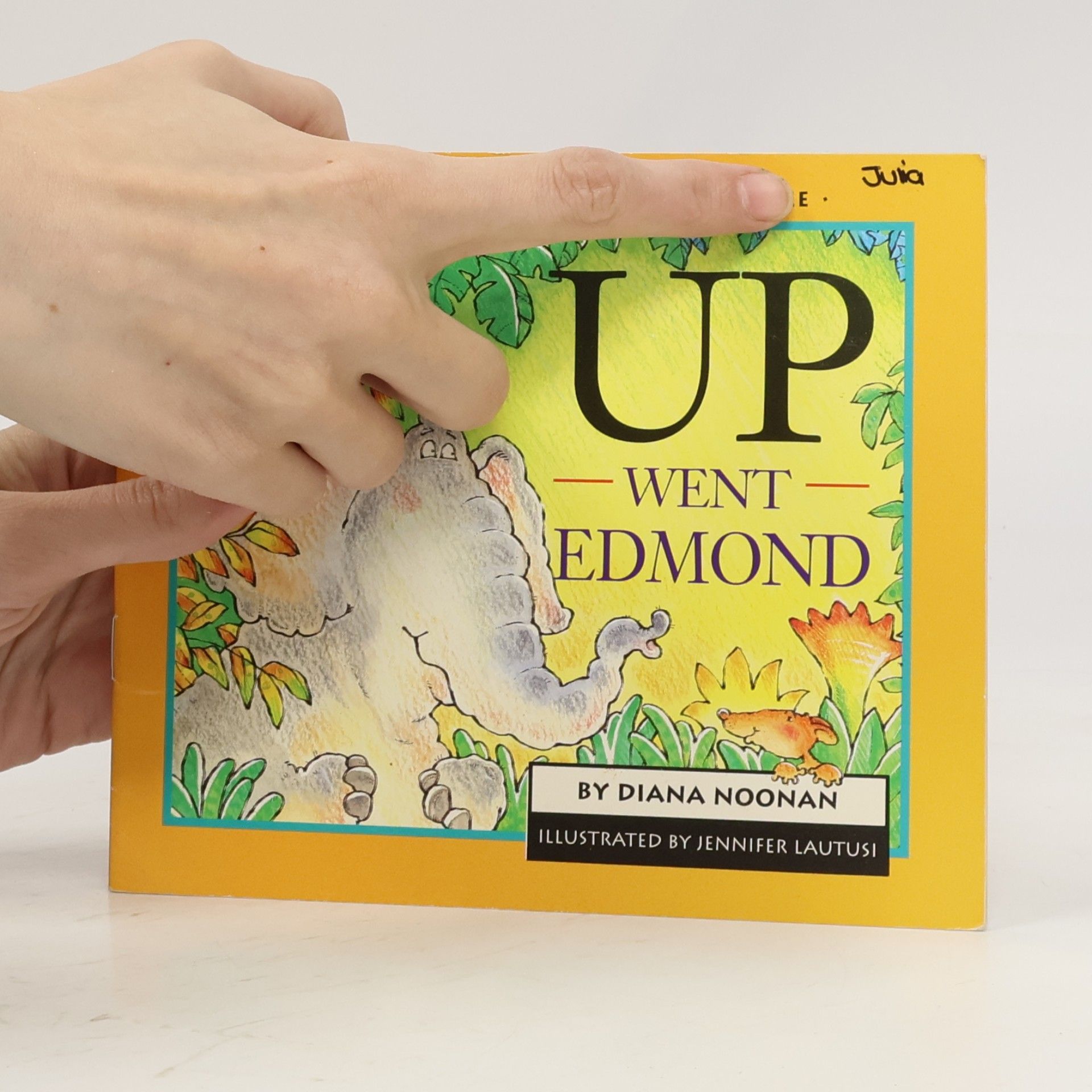 Diana Noonan Up Went Edmond