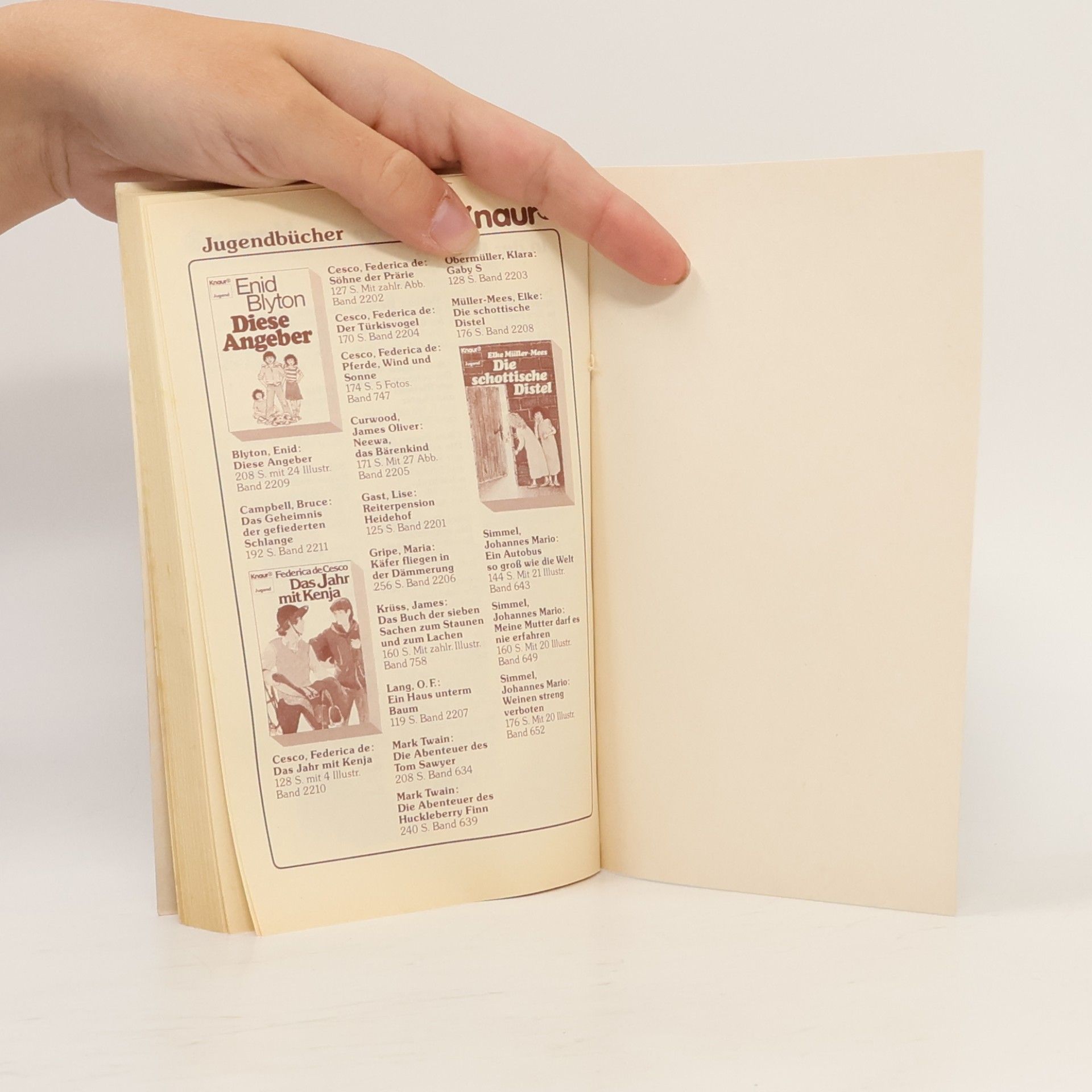 Marianne Mehling Kleines Buch der Weihnachtslieder