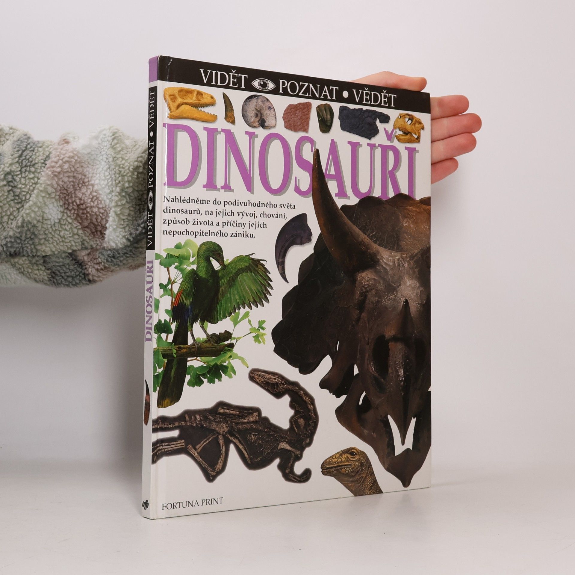 Angela Milner Vidět, poznat, vědět. Dinosauři