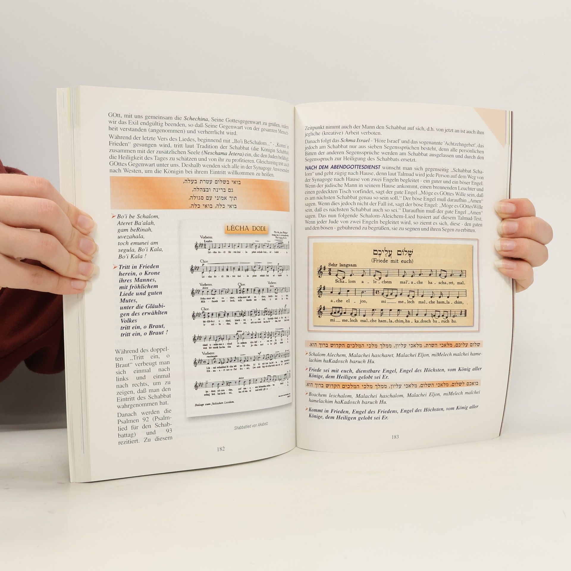 Autorenkollektiv Israel-Jahrbuch 2001