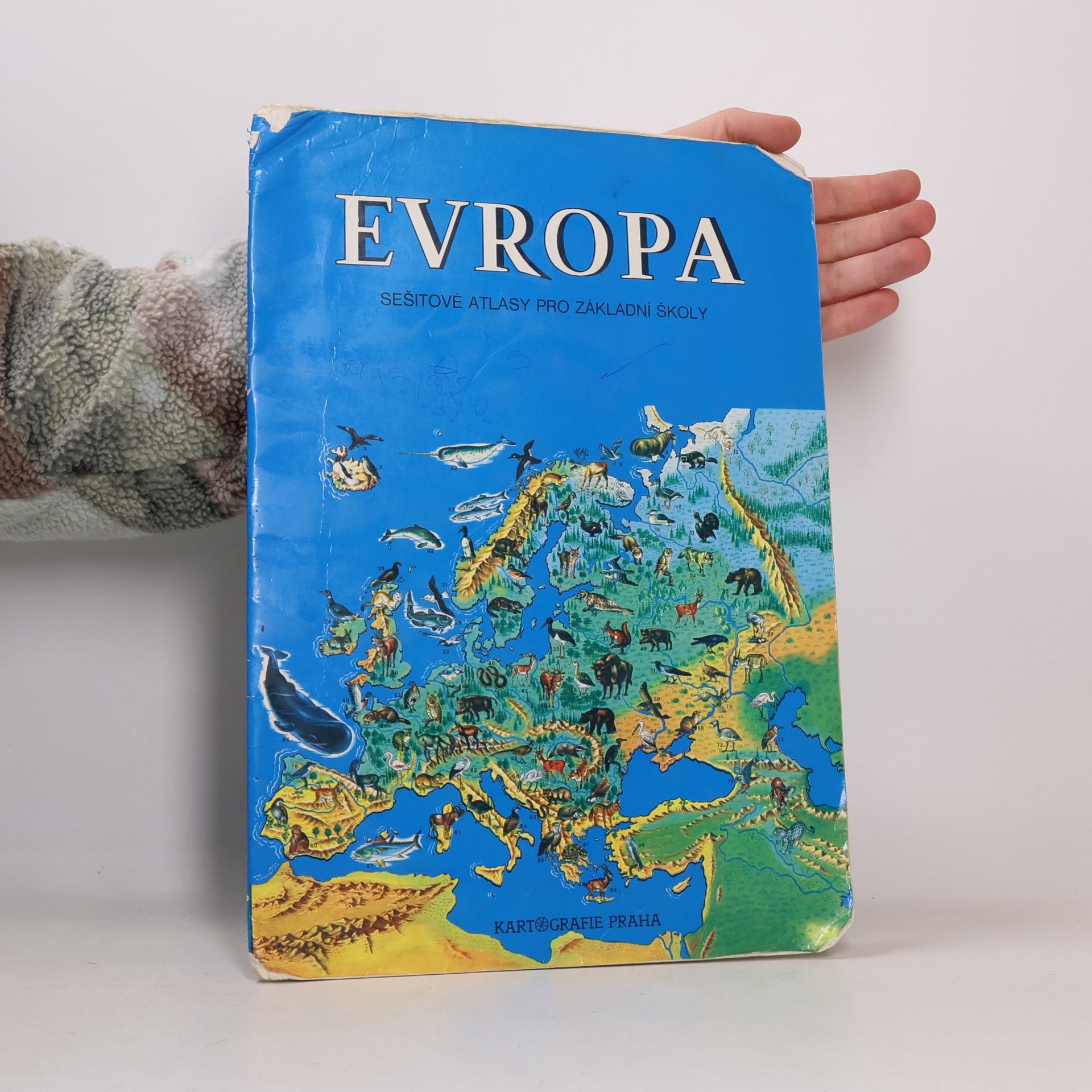 Evropa