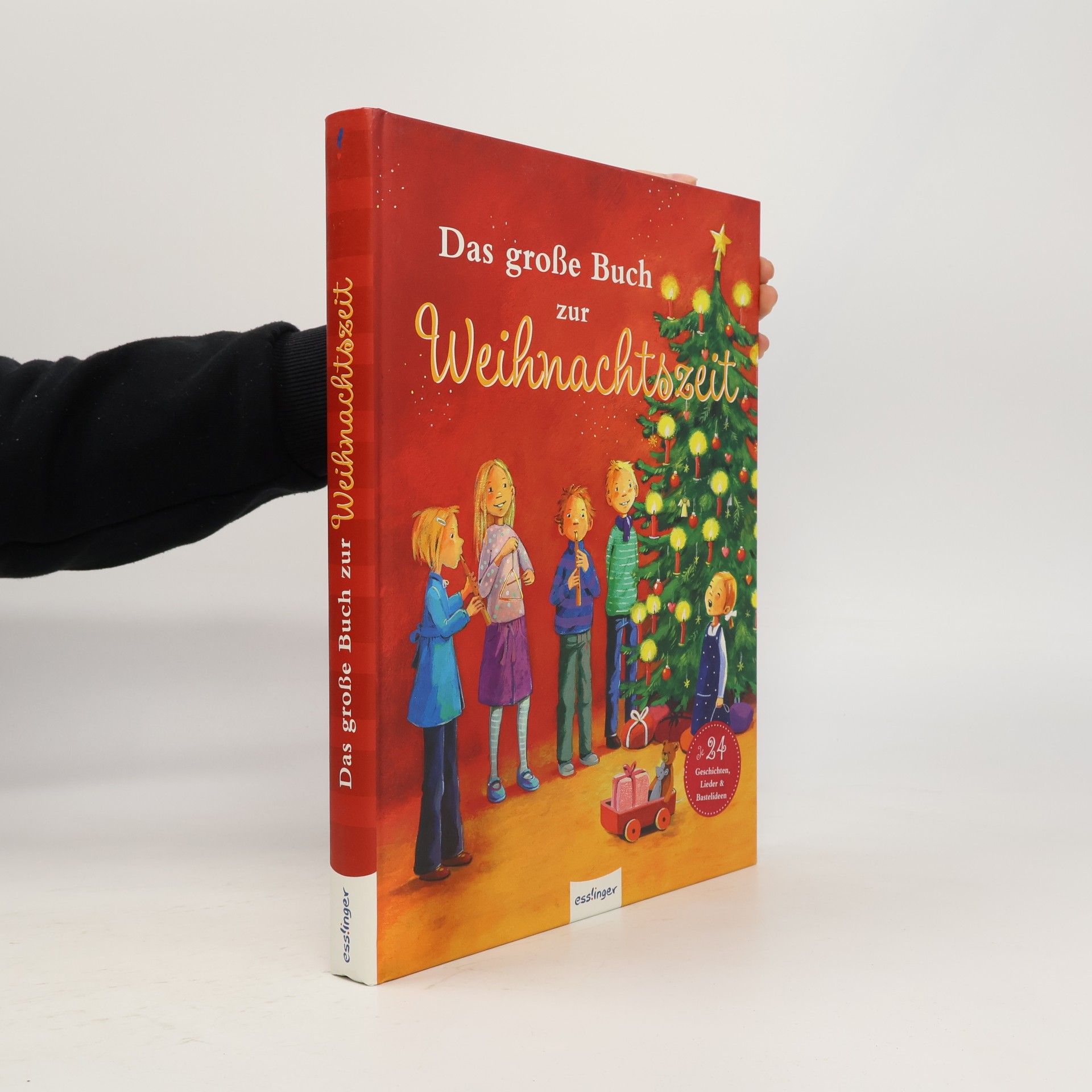 Collectif d'auteurs Das große Buch zur Weihnachtszeit