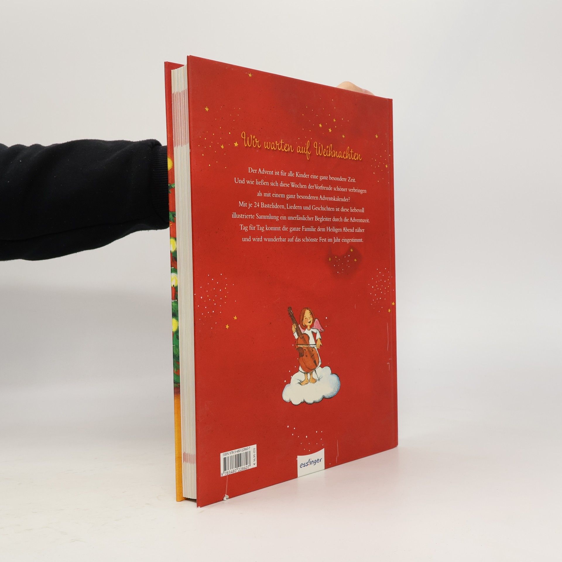 Das große Buch zur Weihnachtszeit