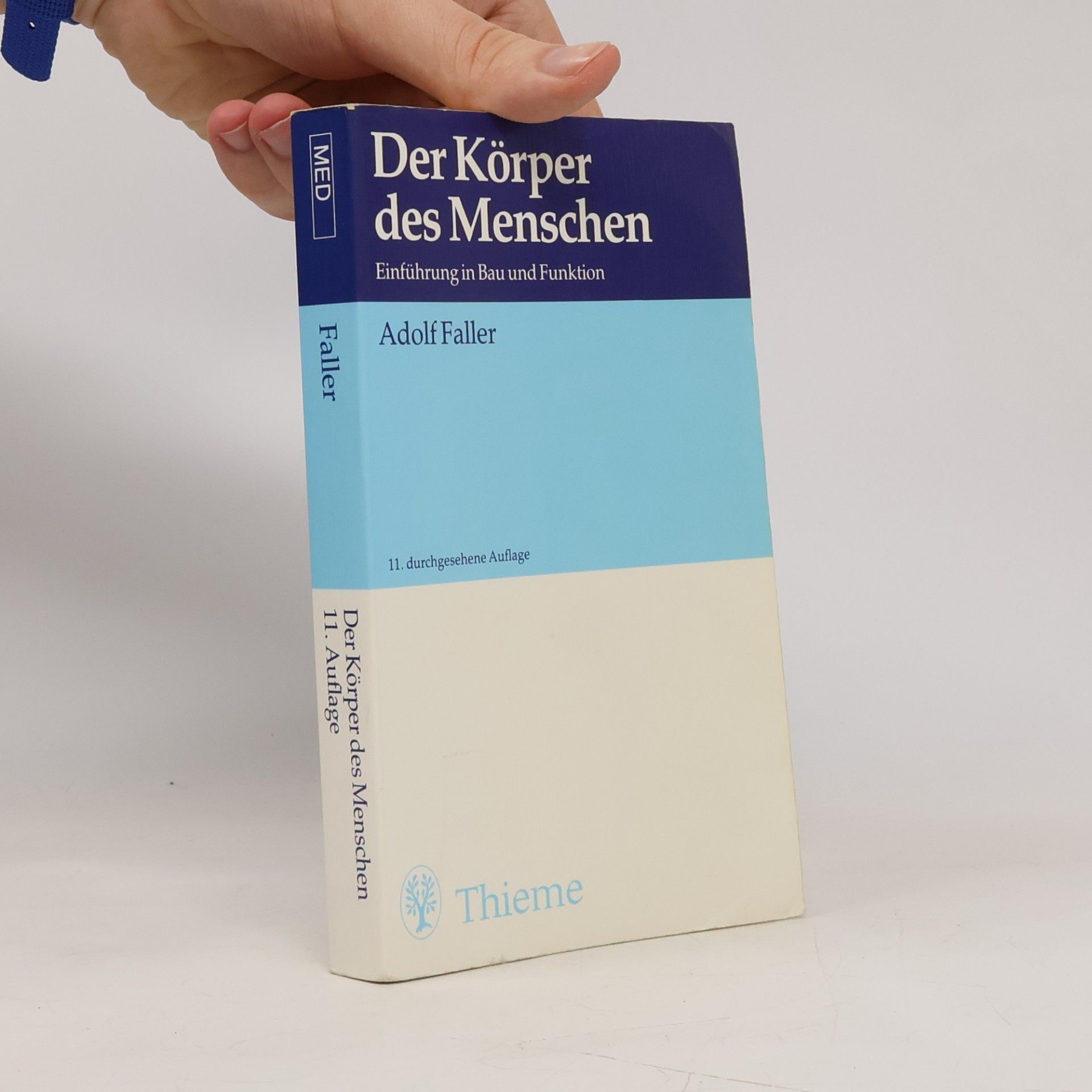 Der Körper des Menschen