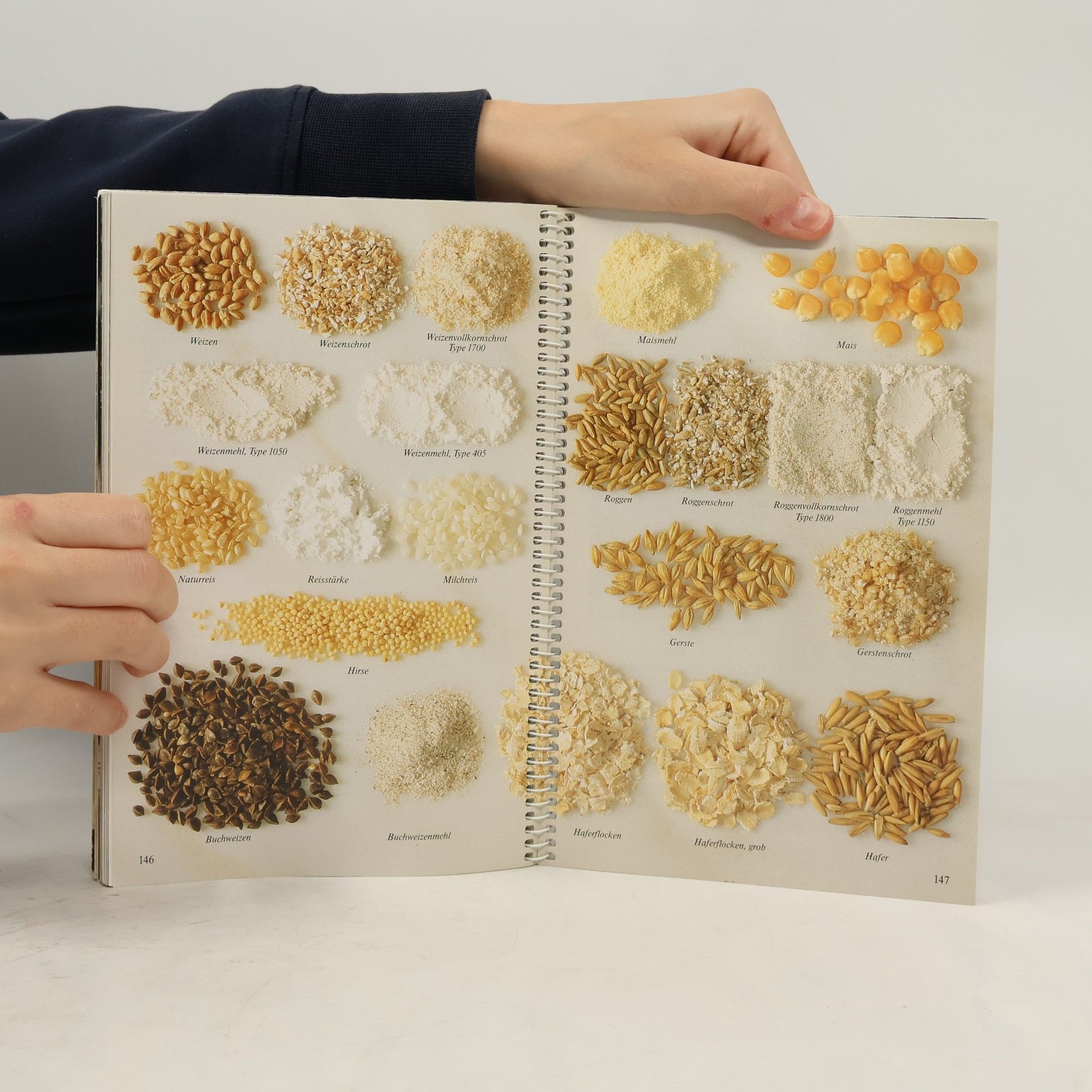 Autorenkollektiv Handbuch für das tägliche Backen