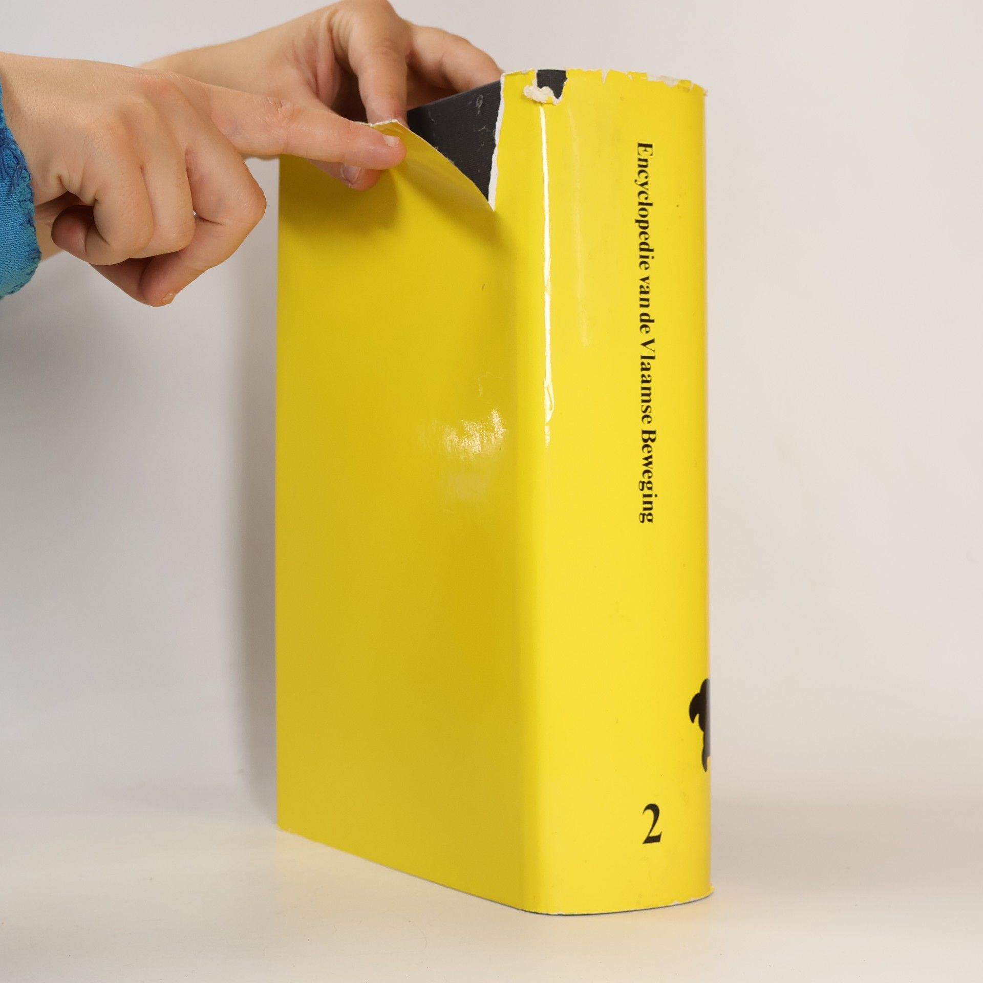 Autorenkollektiv Encyclopedie van de Vlaamse Beweging 2