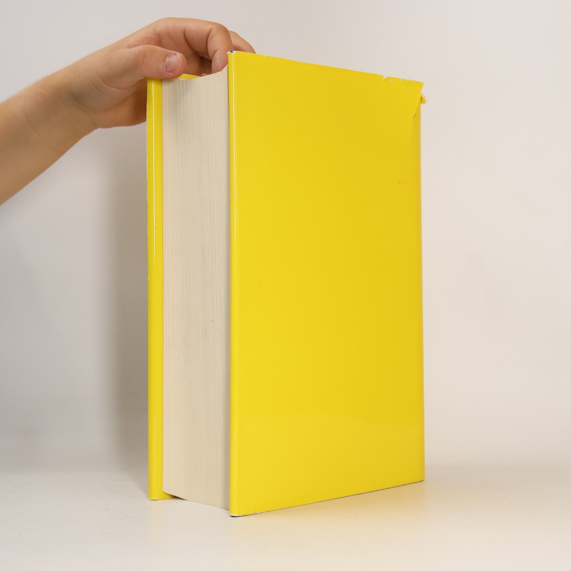 Autorenkollektiv Encyclopedie van de Vlaamse Beweging 2