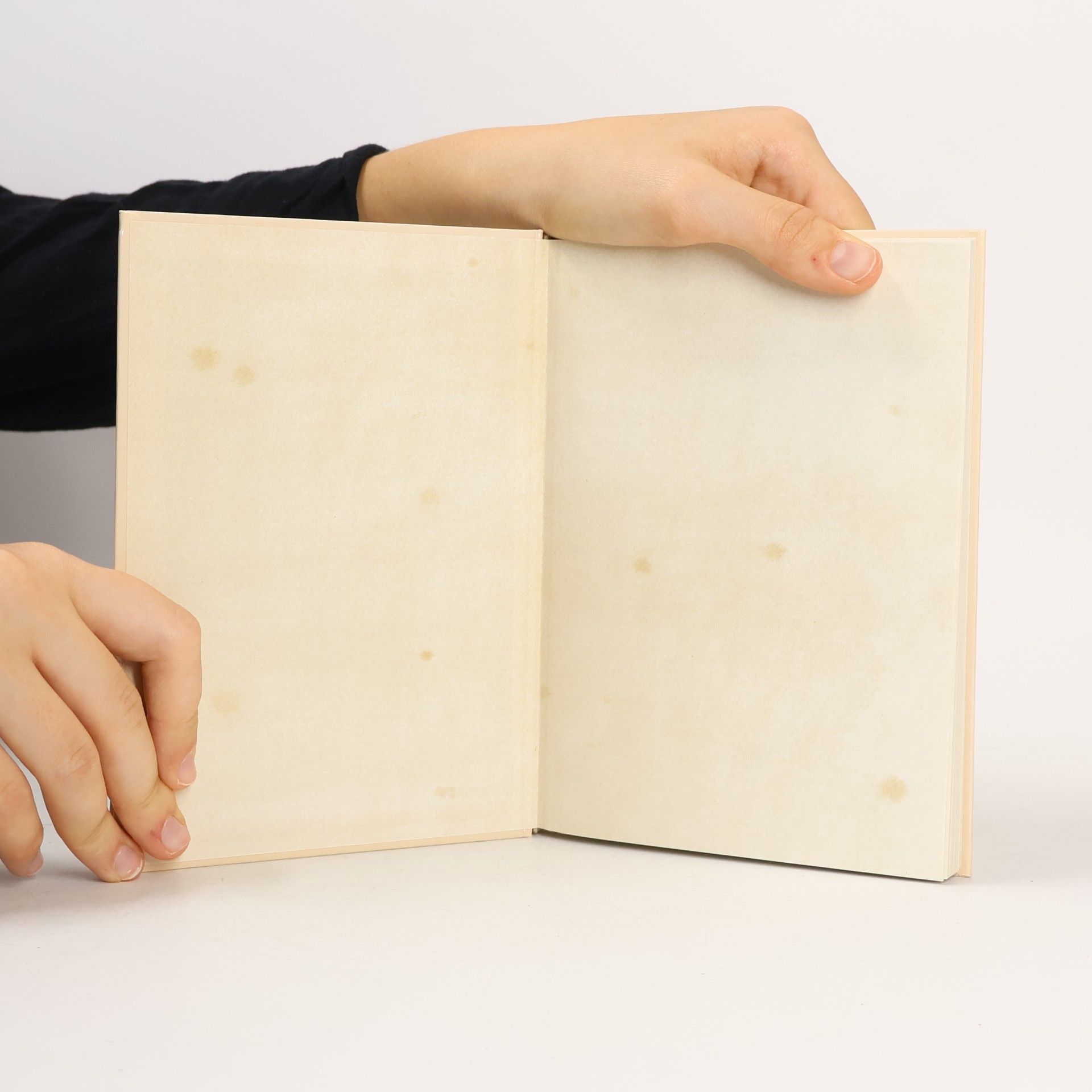 Marina Kasimir Das Strudel-Kochbuch