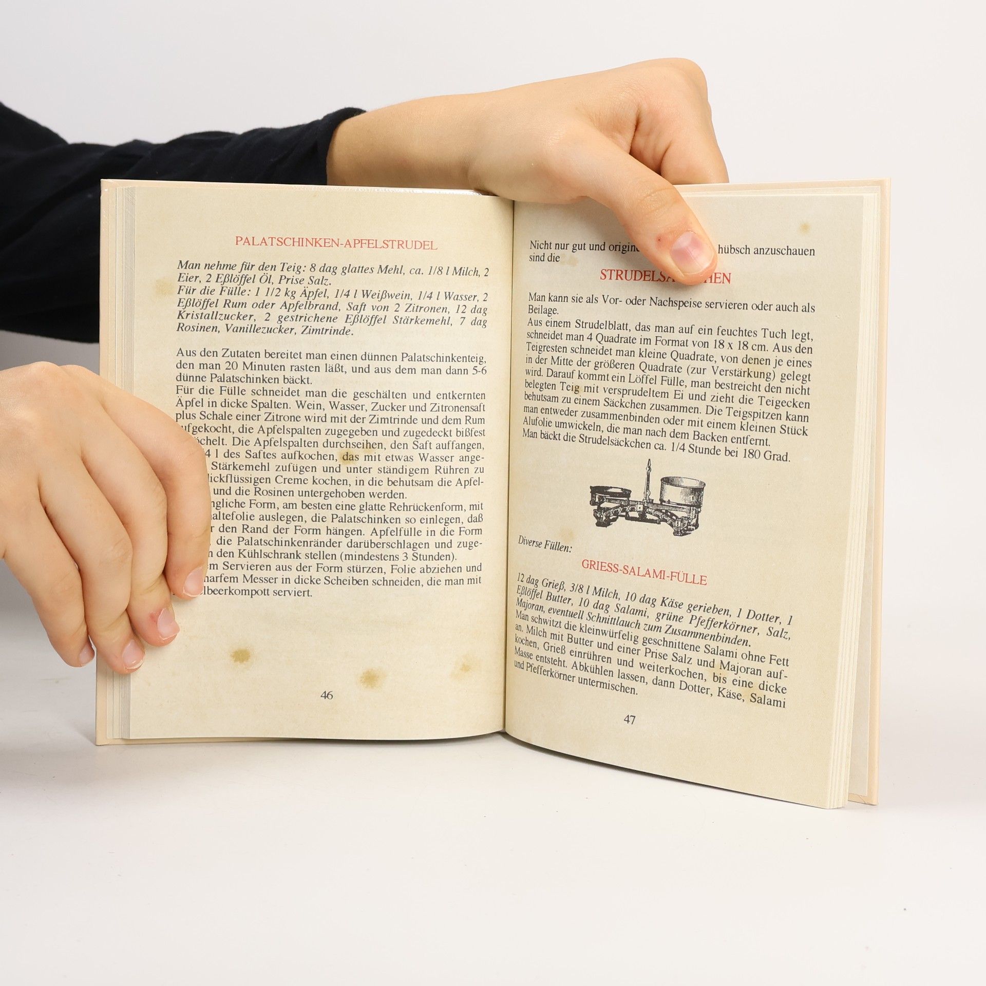 Marina Kasimir Das Strudel-Kochbuch