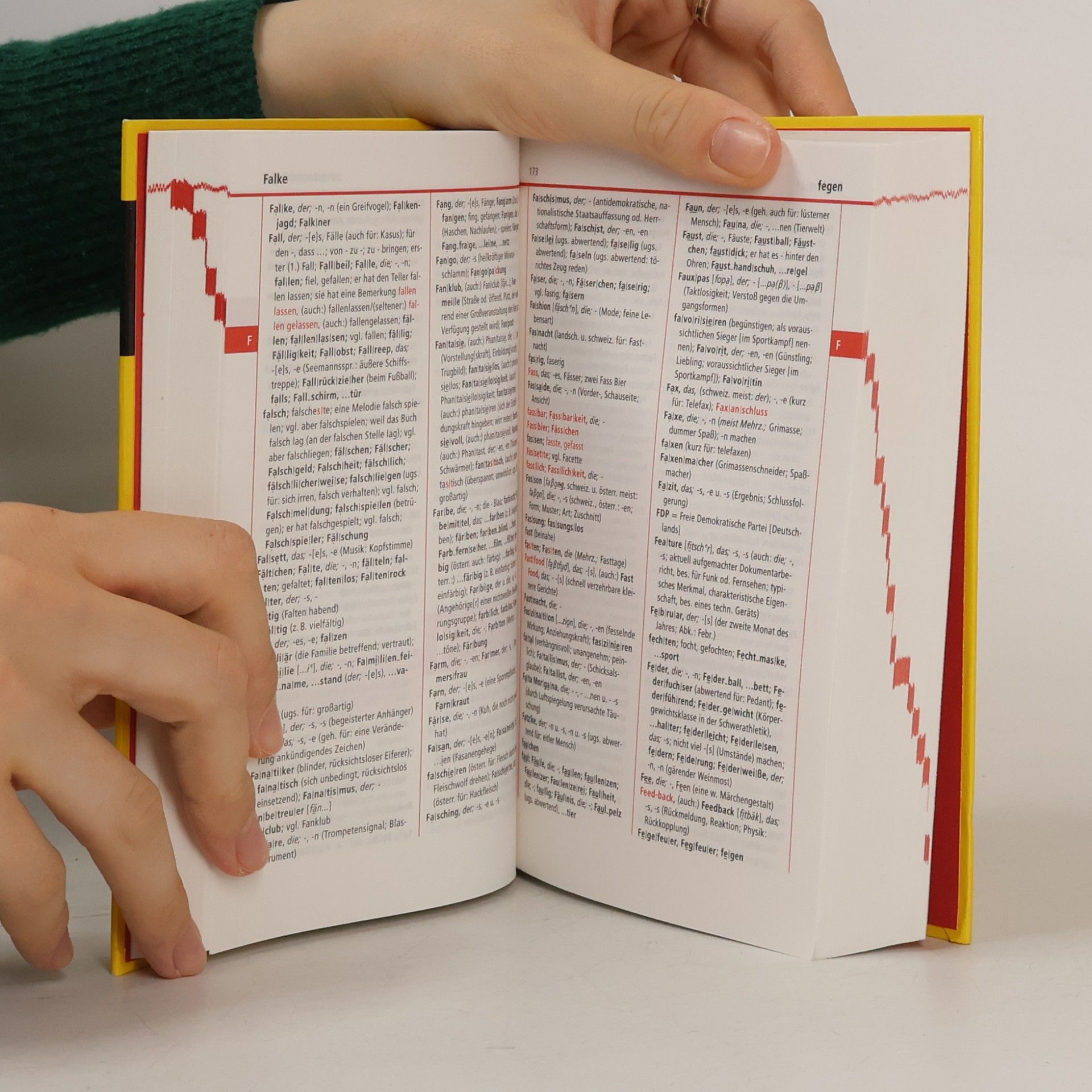 Anja Konopka Deutsches Wörterbuch : auf der Grundlage der neuen amtlichen Rechtschreibregeln