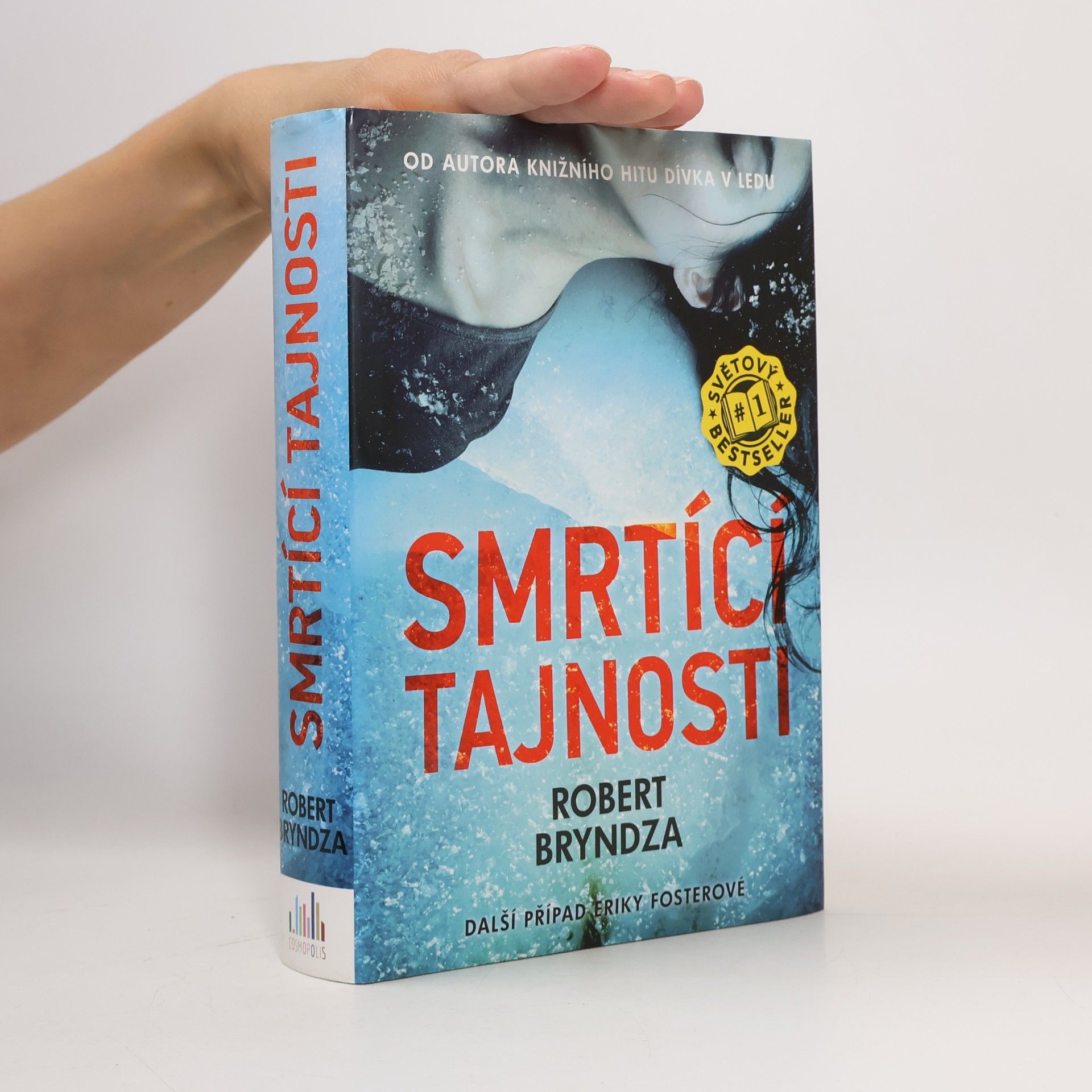 Robert Bryndza Smrtící tajnosti