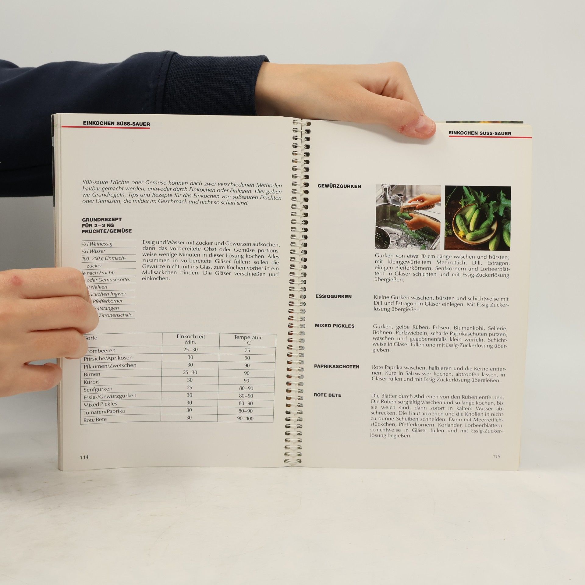 Kolektiv autorů Handbuch für die Einmachzeit