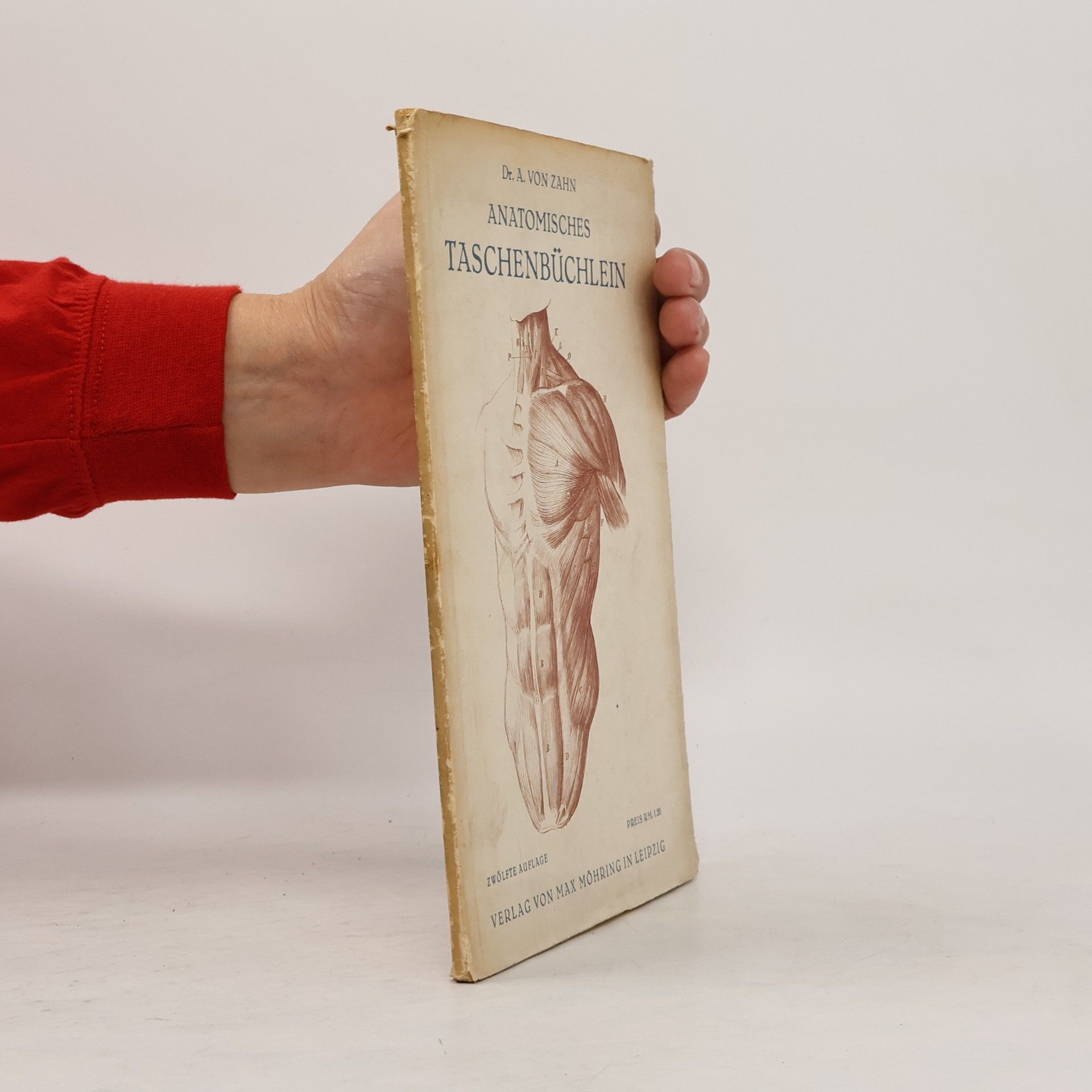 Anatomisches Taschenbüchlein