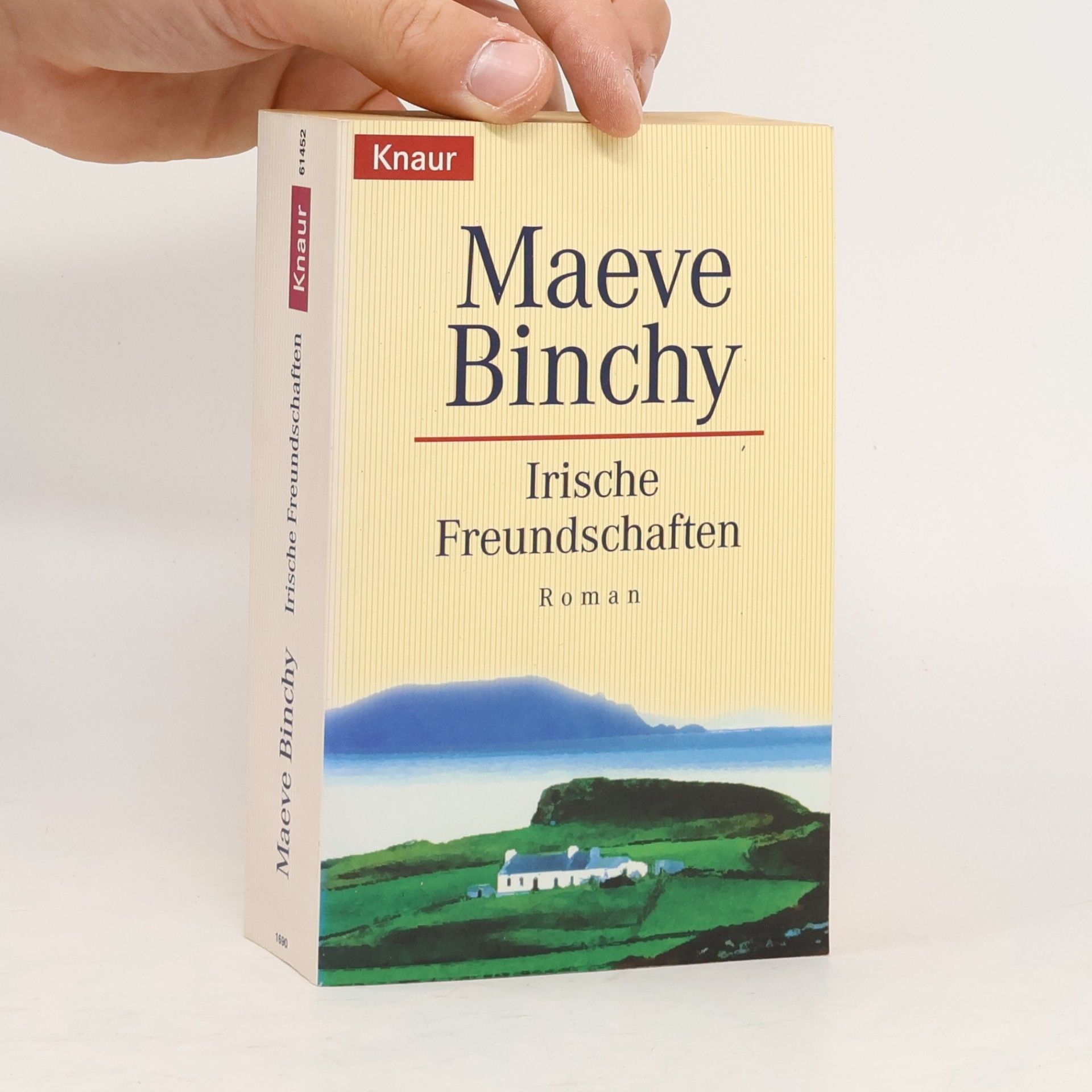 Maeve Binchy Irische Freundschaften