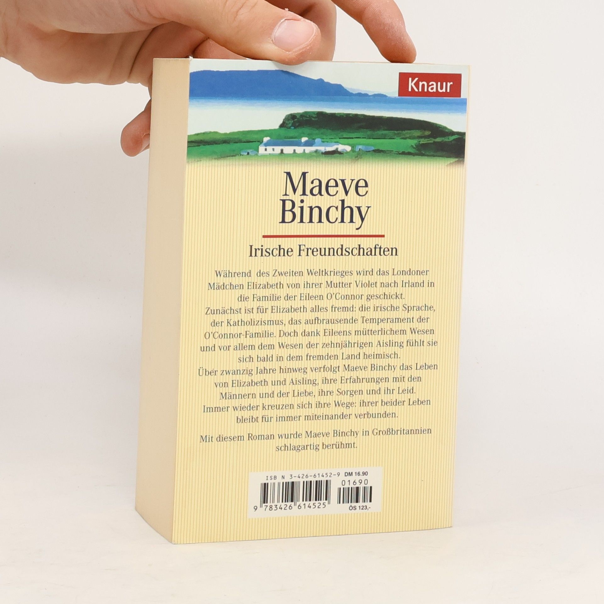 Maeve Binchy Irische Freundschaften