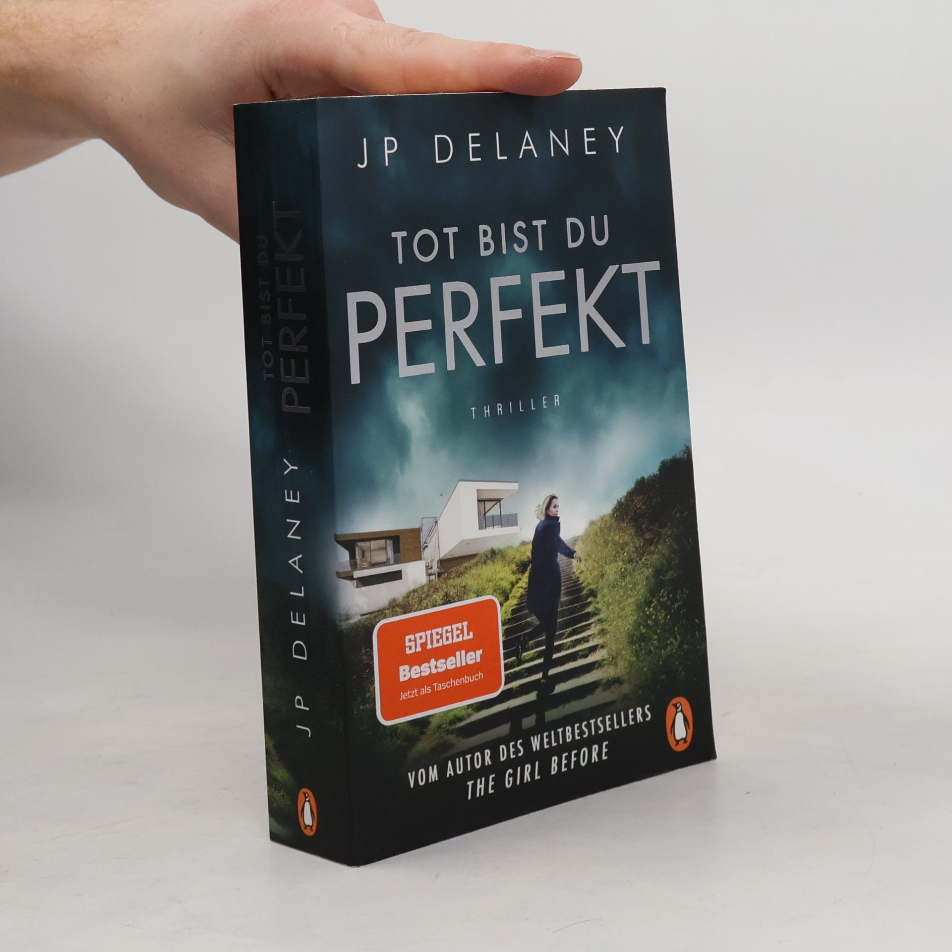 J. P. Delaney Tot bist du perfekt