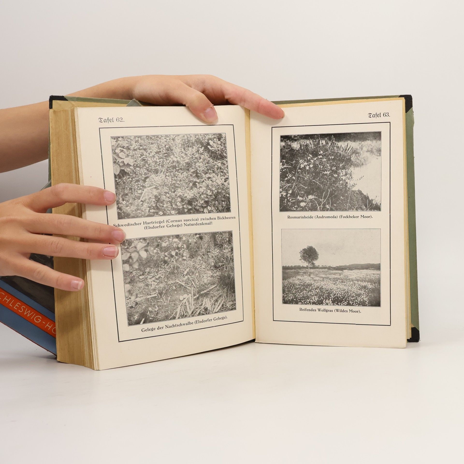 Jürgen Kleen Heimatbuch des Kreises Rendsburg