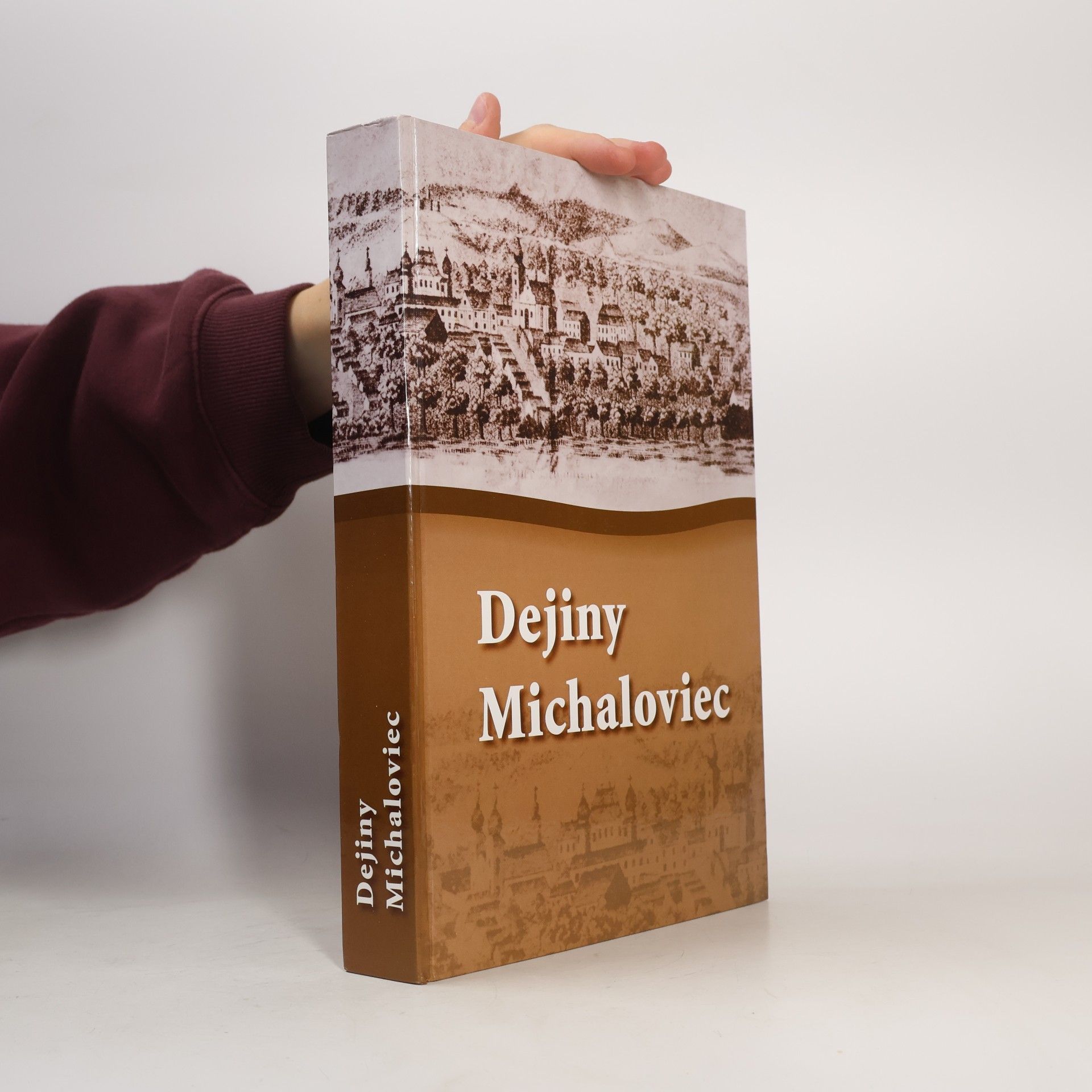 Mikuláš Jáger Dejiny Michaloviec