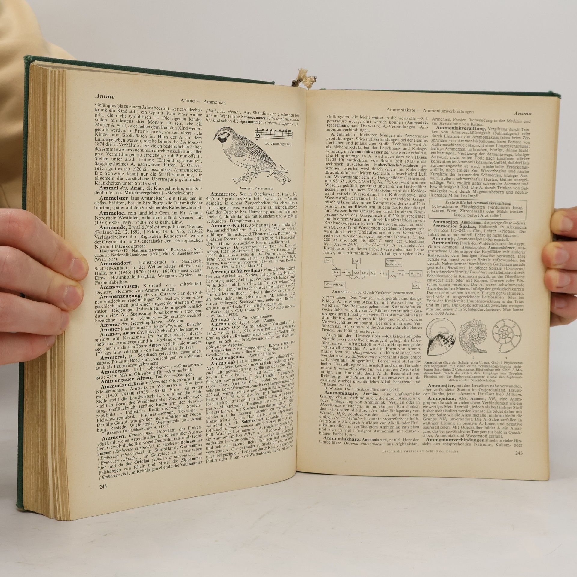 Various authors Der grosse Brockhaus 1. A-Beo