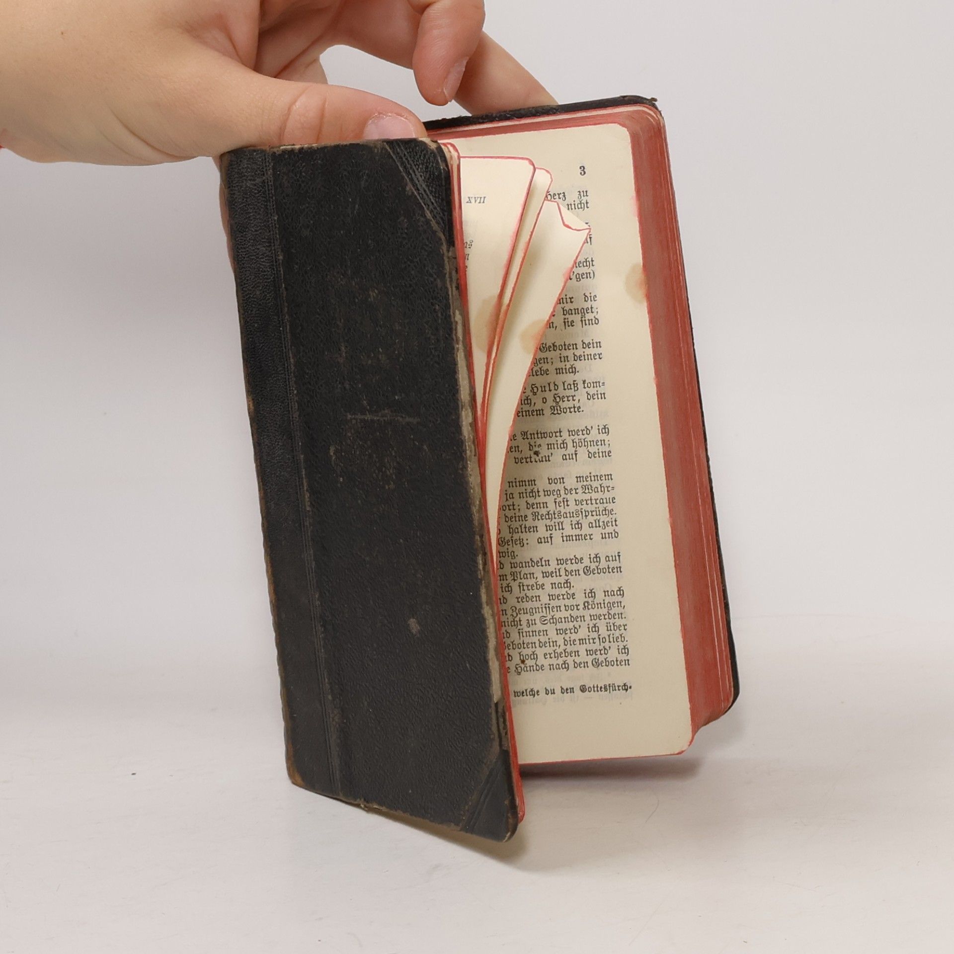 Anselm Schott Das Meßbuch der hl. Kirche