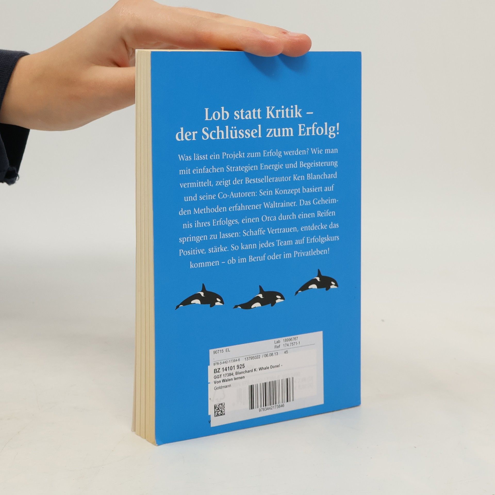 Kenneth Blanchard Whale Done! Von Walen lernen