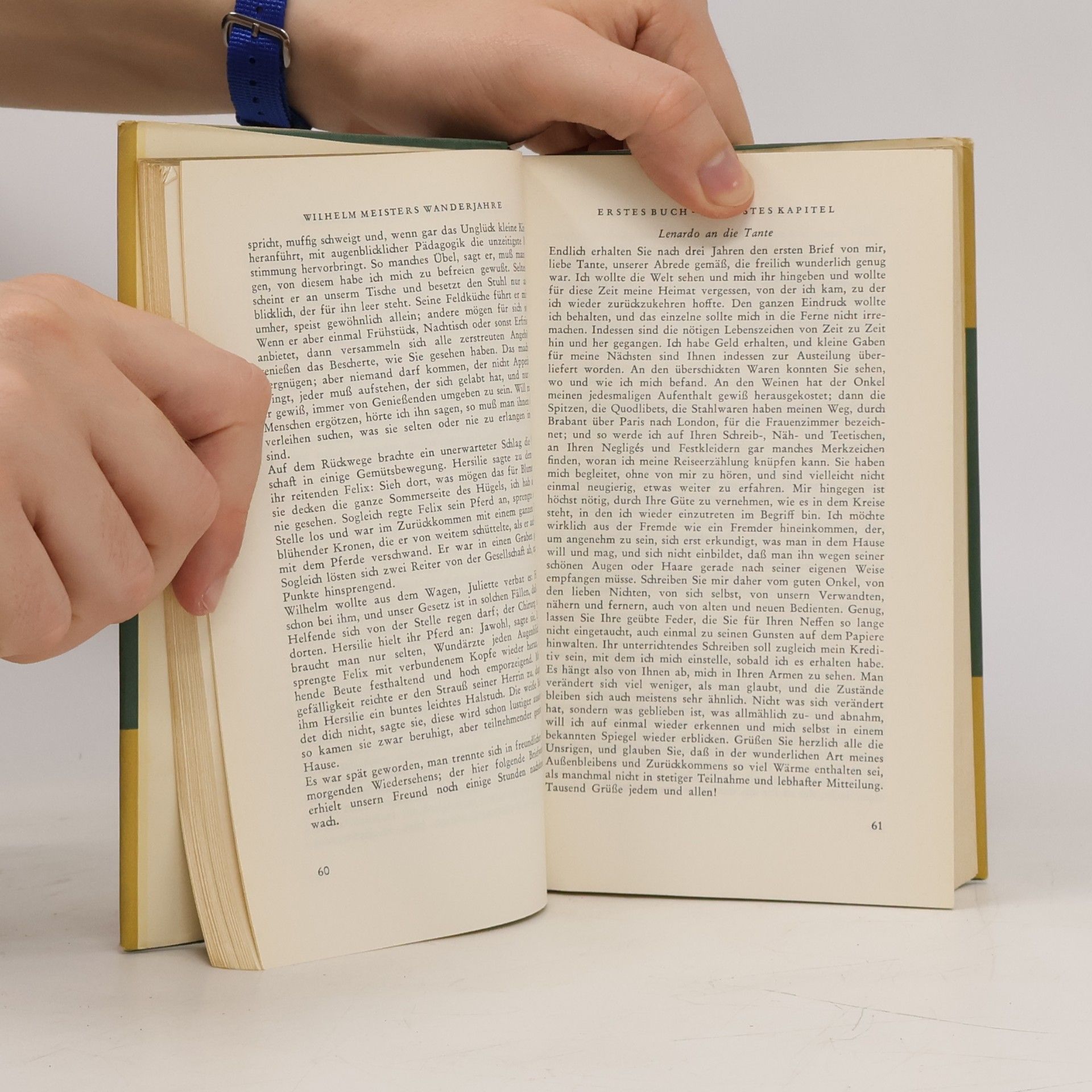 Johann Wolfgang Goethe Gesammelte Werke 5