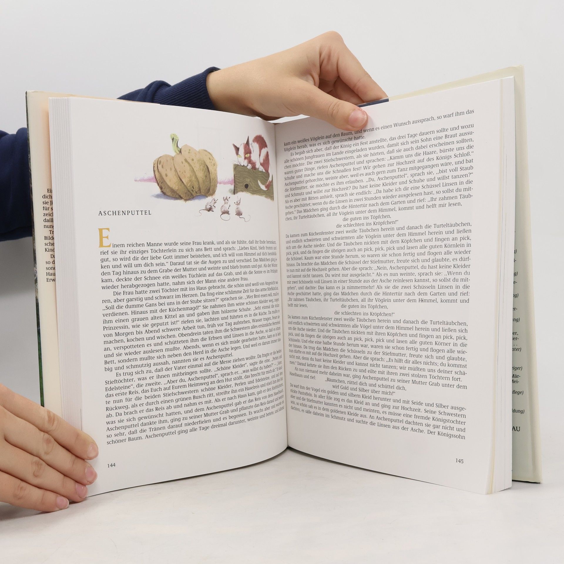 kolektiv Geschichten für das ganze Jahr