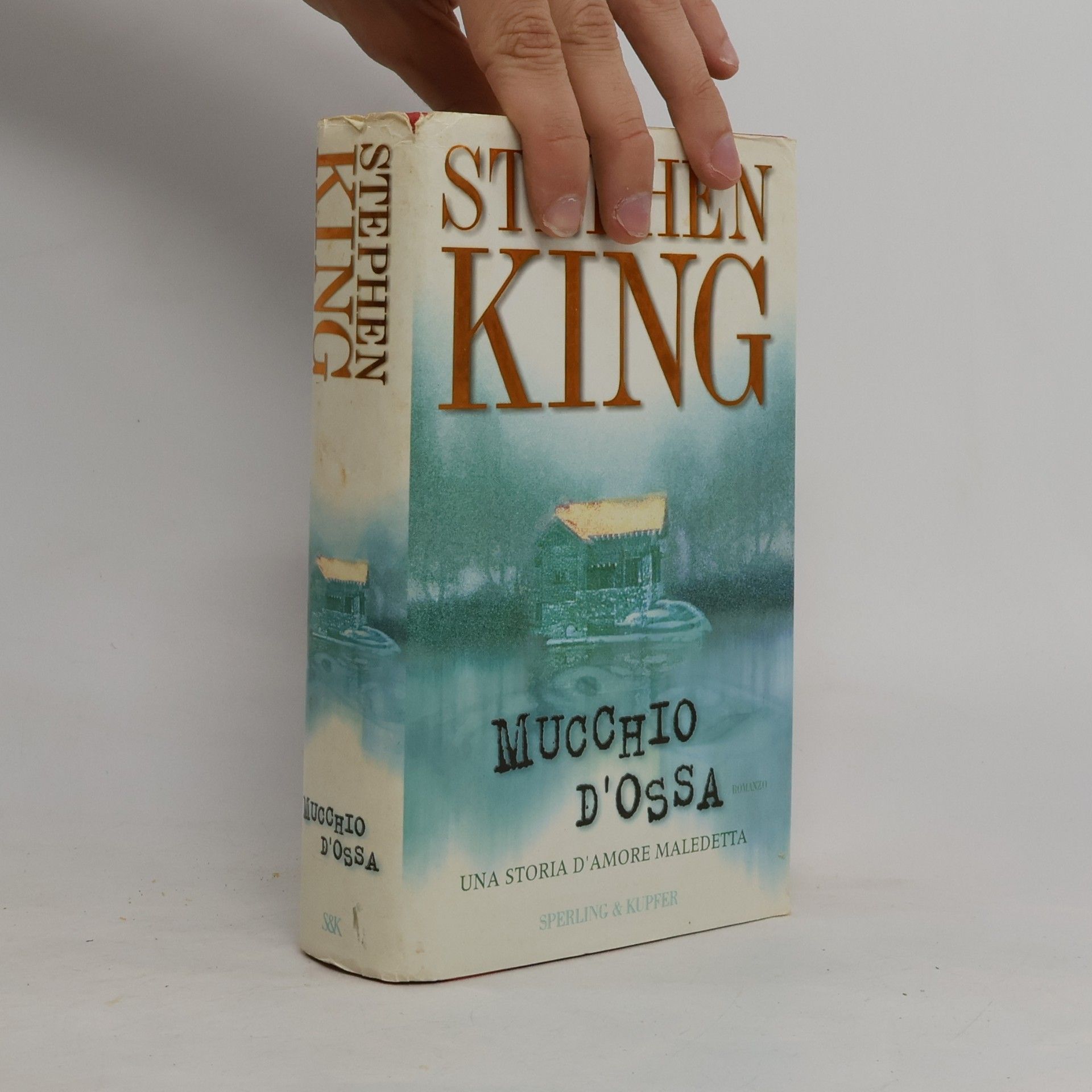Stephen King Mucchio d'ossa