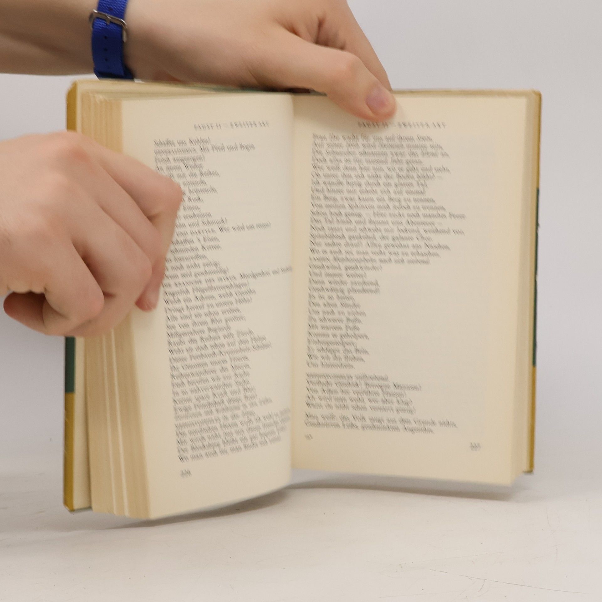 Johann Wolfgang Goethe Gesammelte Werke