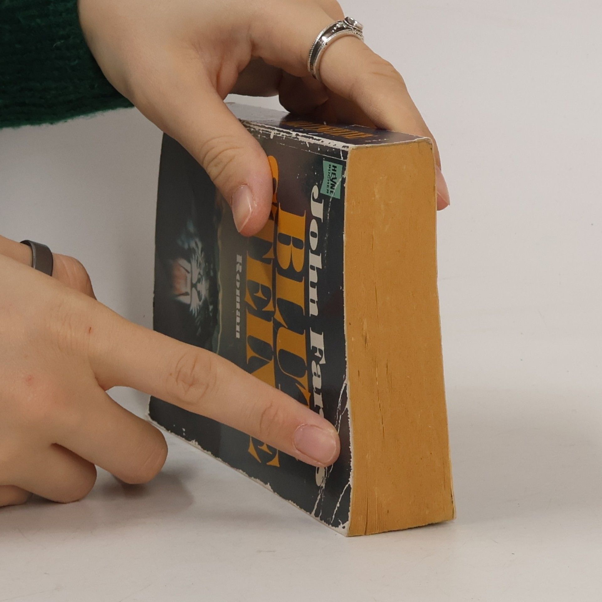 John Farris Blutsteine