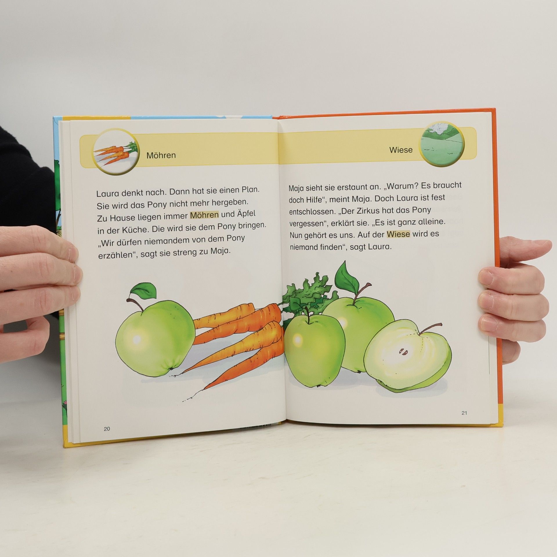 Autorenkollektiv Ponyhofgeschichten