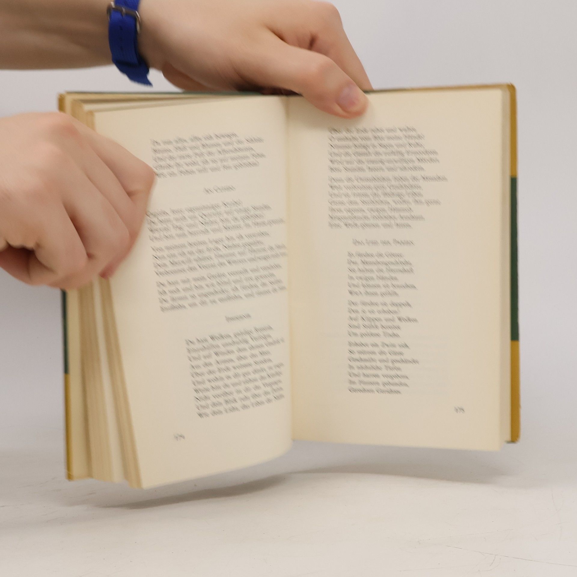 Johann Wolfgang Goethe Gesammelte Werke 1