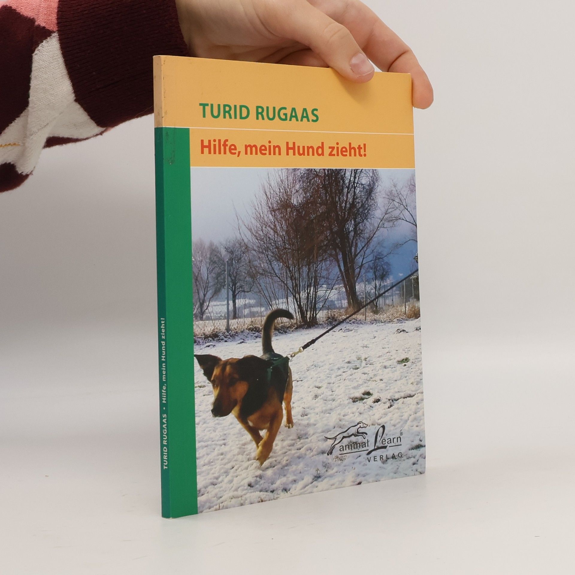 Hilfe, mein Hund zieht!