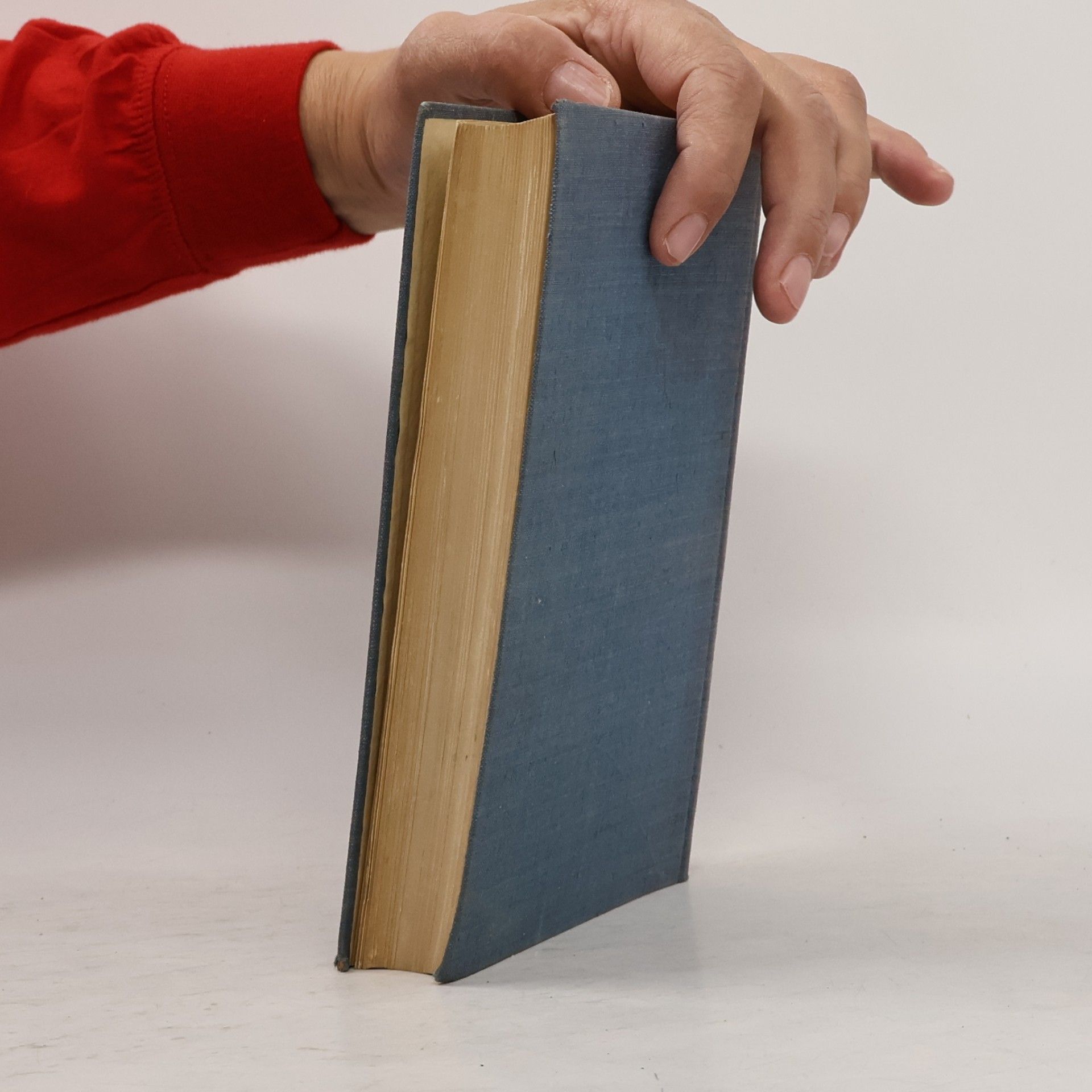Arthur Rümann Die illustr. deutschen Bücher des 19. Jahrhunderts