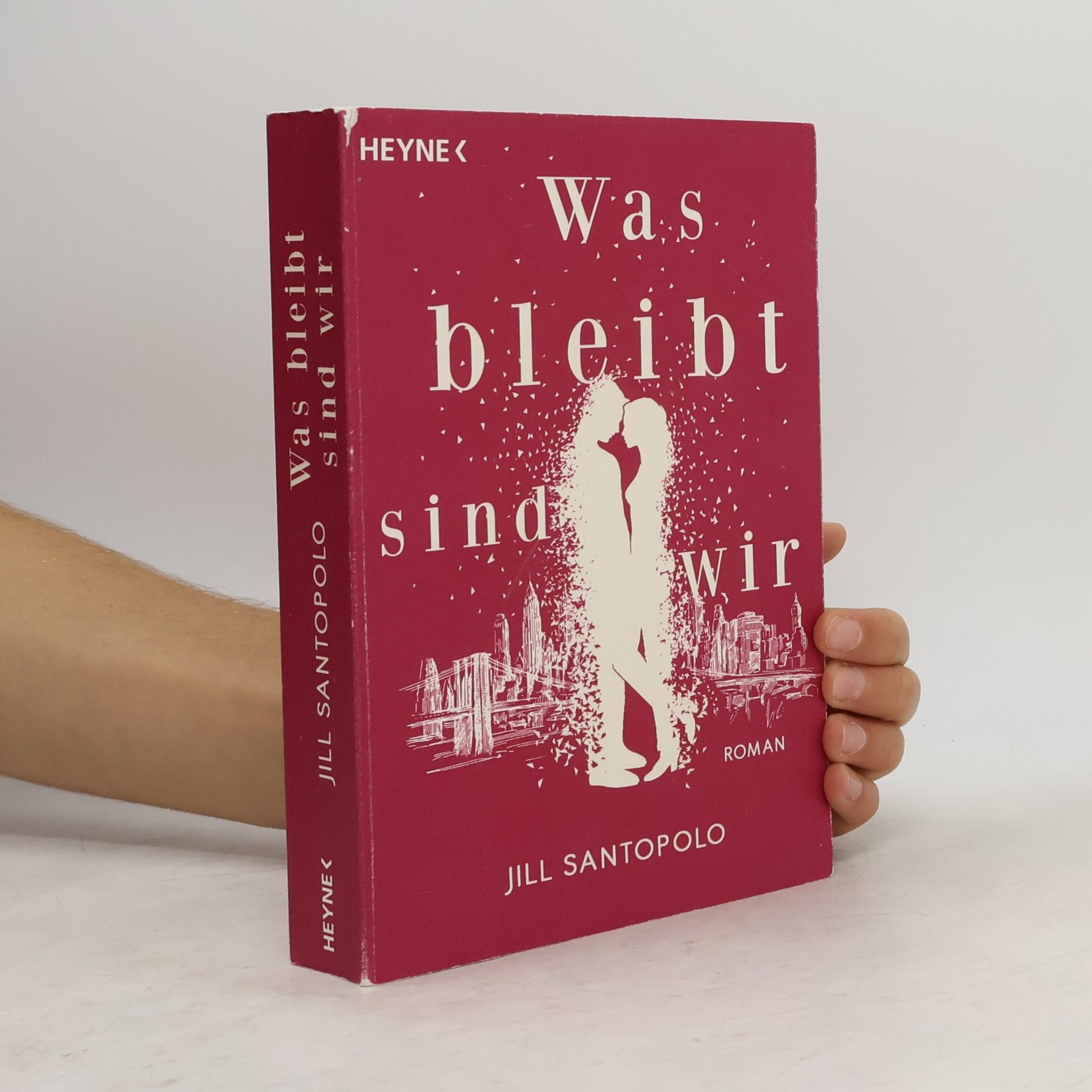 Jill Santopolo Was bleibt, sind wir