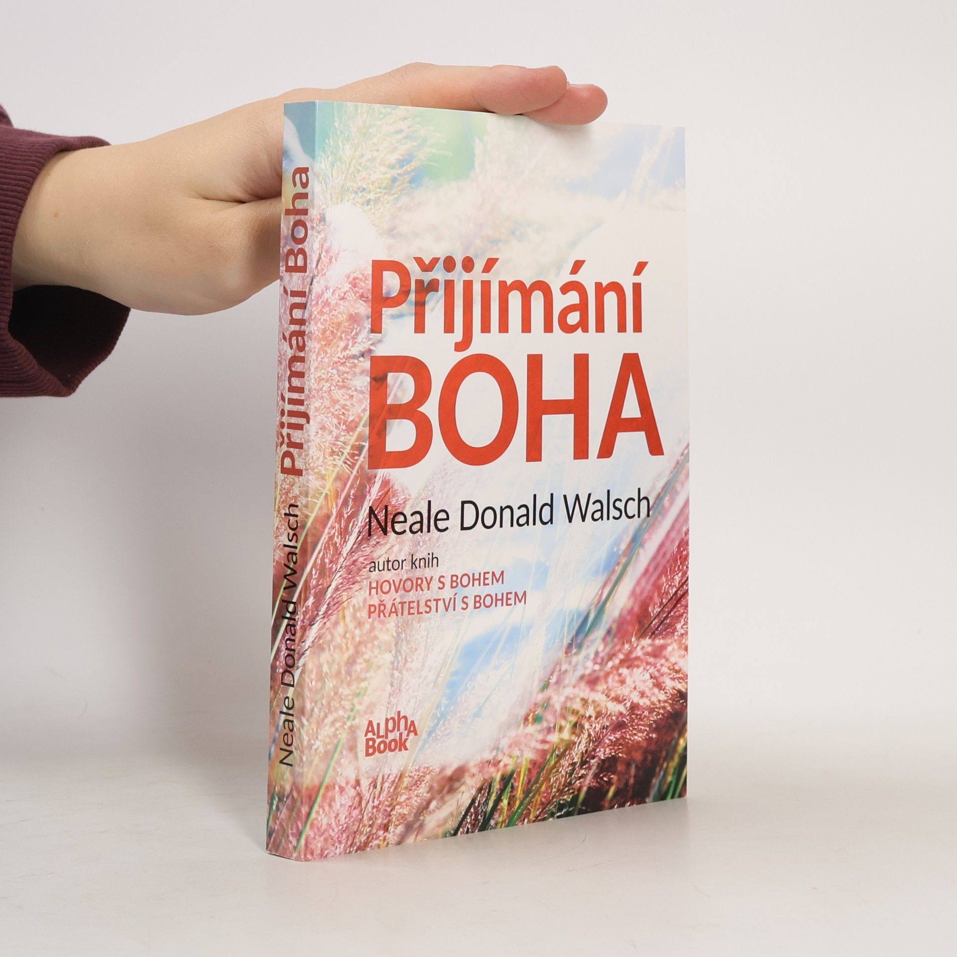 Neale Donald Walsch Přijímání Boha