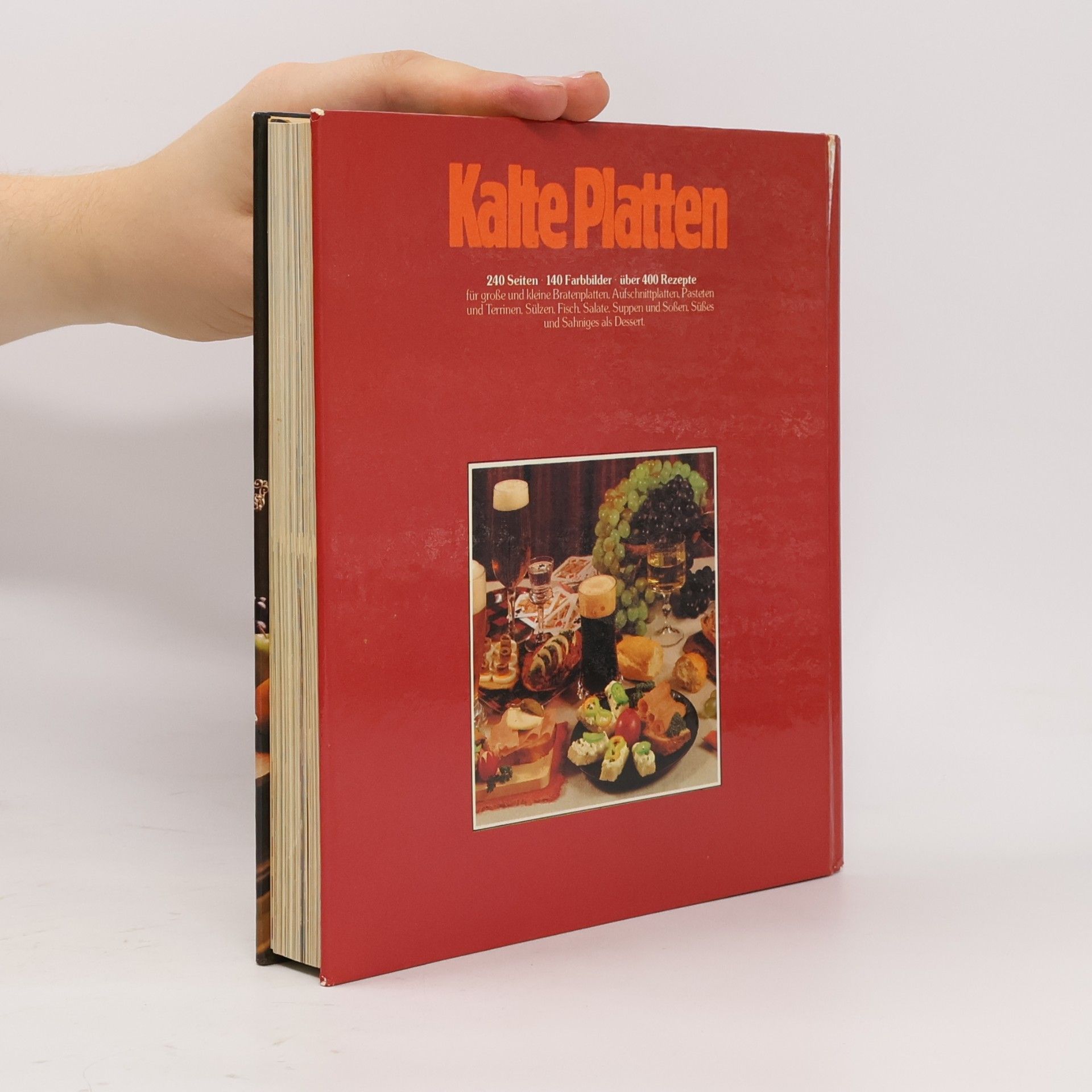 Heidemarie Freund-Förster Kalte Platten